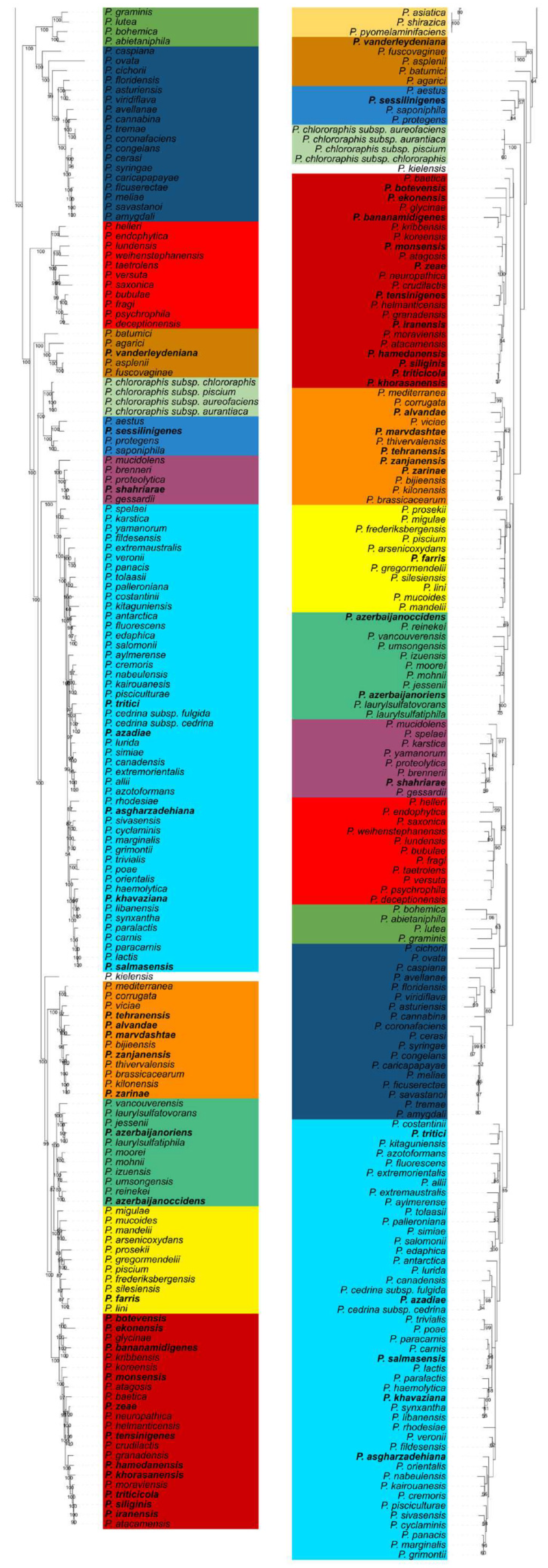 Microorganisms 09 01766 g001b Microorganisms 09 01766 g001b