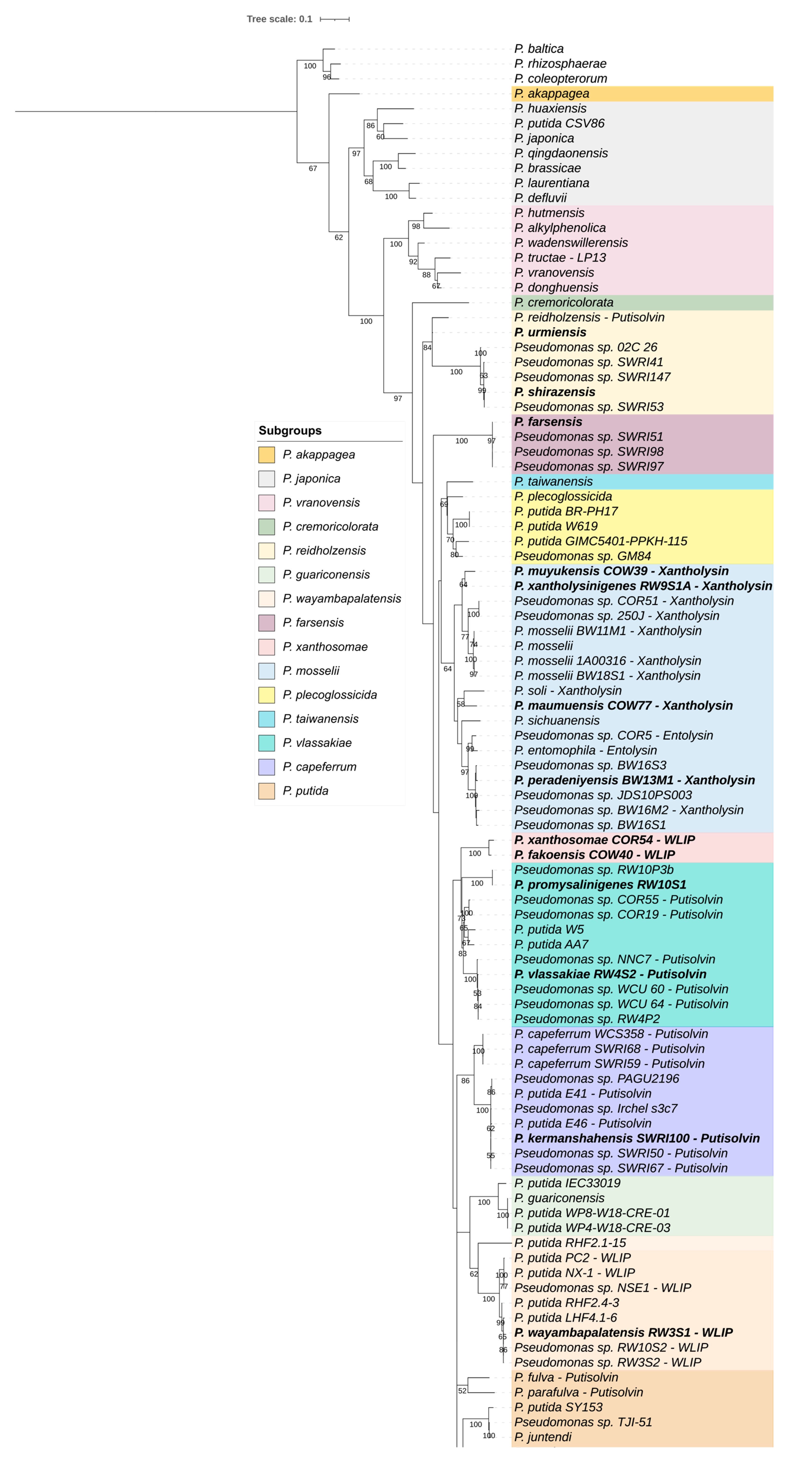 Microorganisms 09 01766 g002a Microorganisms 09 01766 g002a