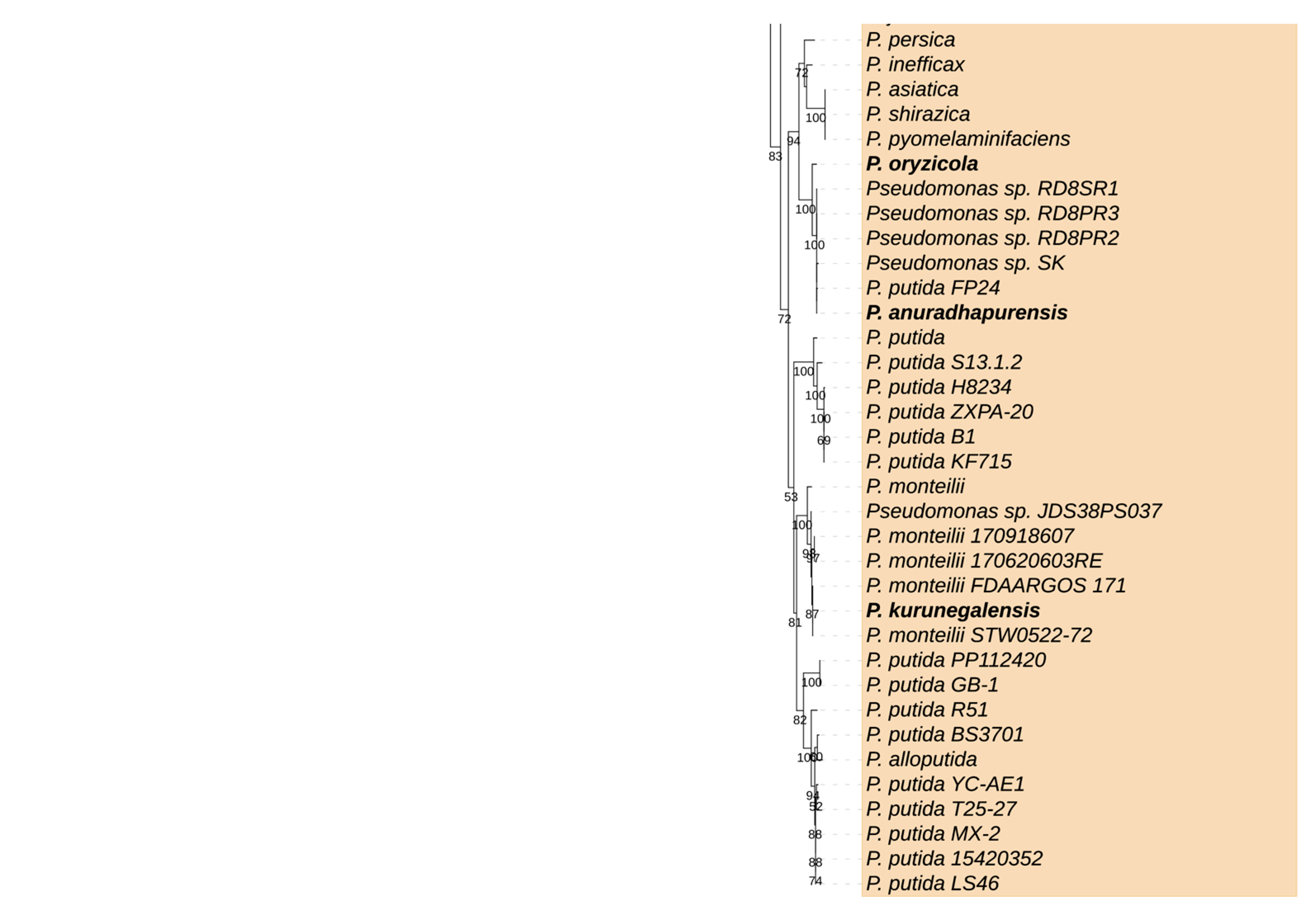 Microorganisms 09 01766 g002b Microorganisms 09 01766 g002b