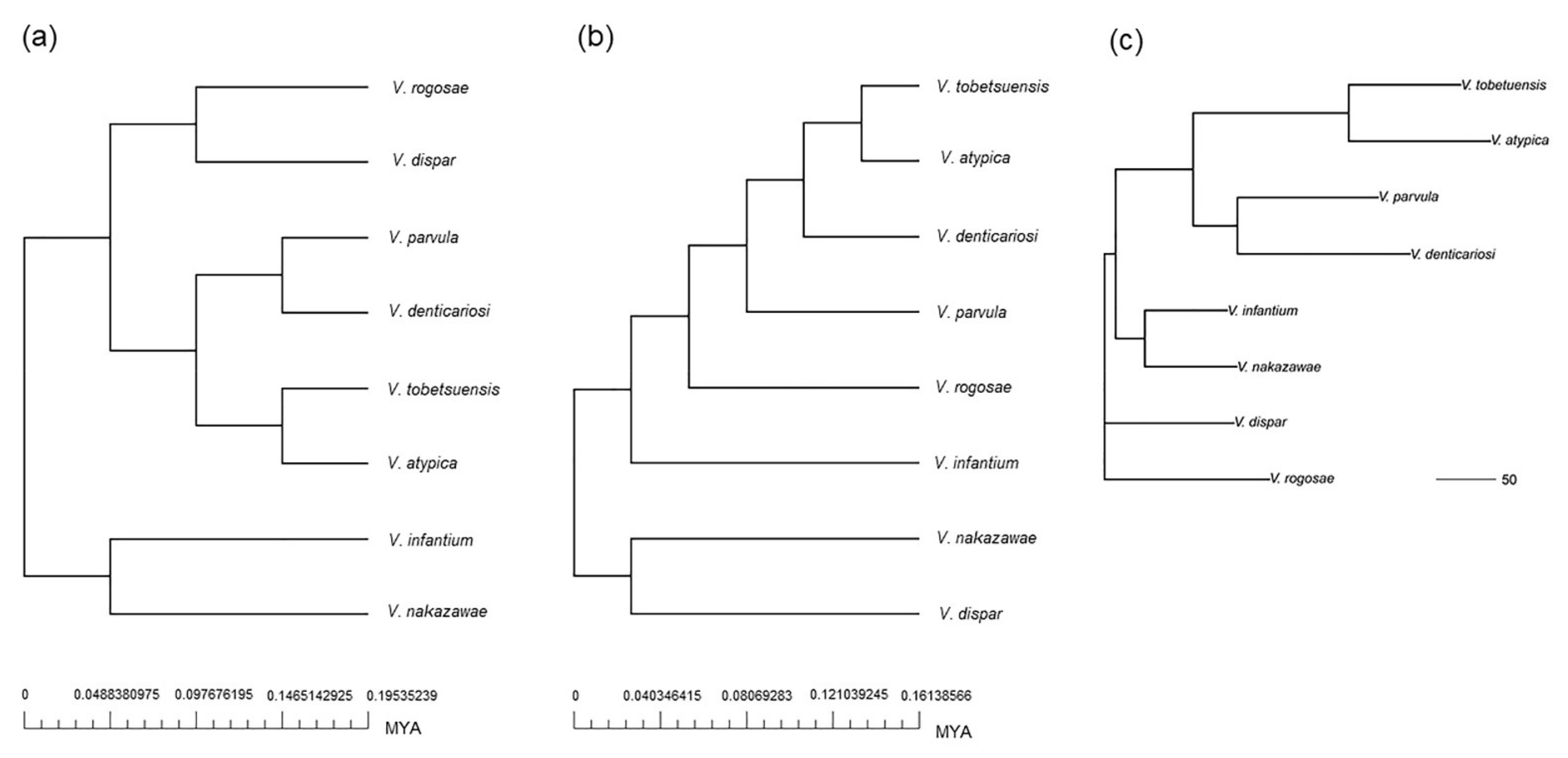 Microorganisms 09 01775 g002