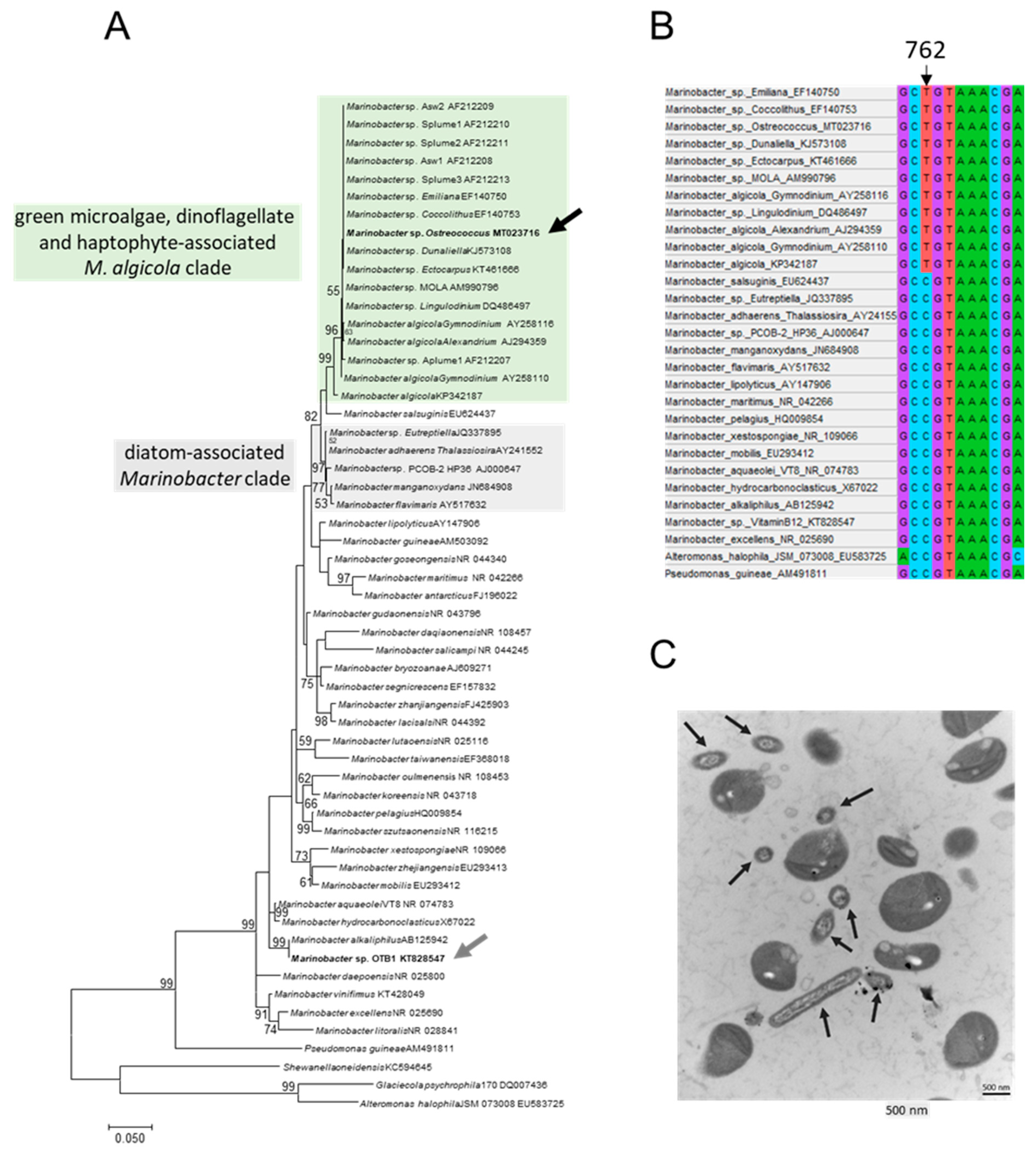 Microorganisms 09 01777 g001