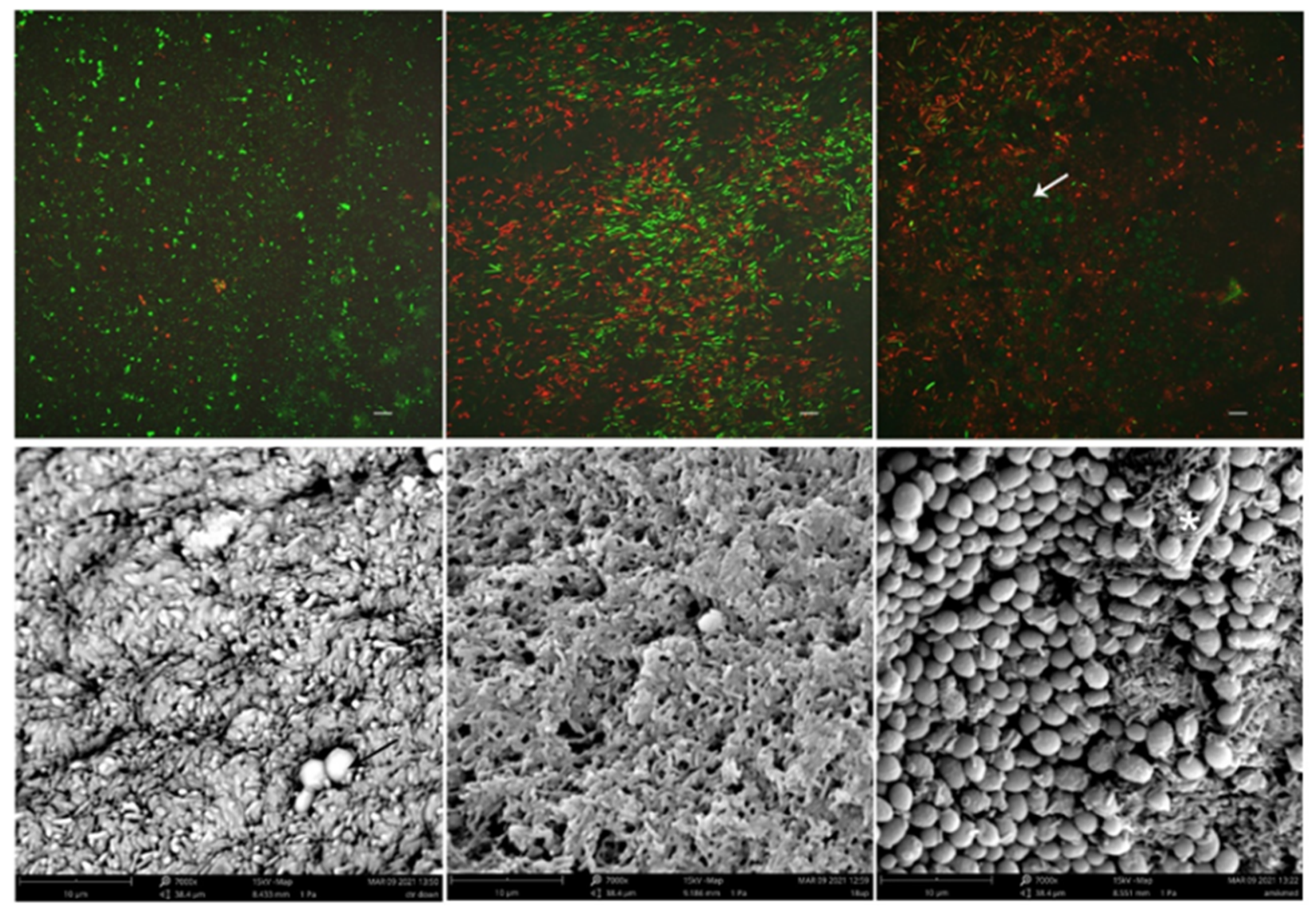 Microorganisms 09 01779 g003 550