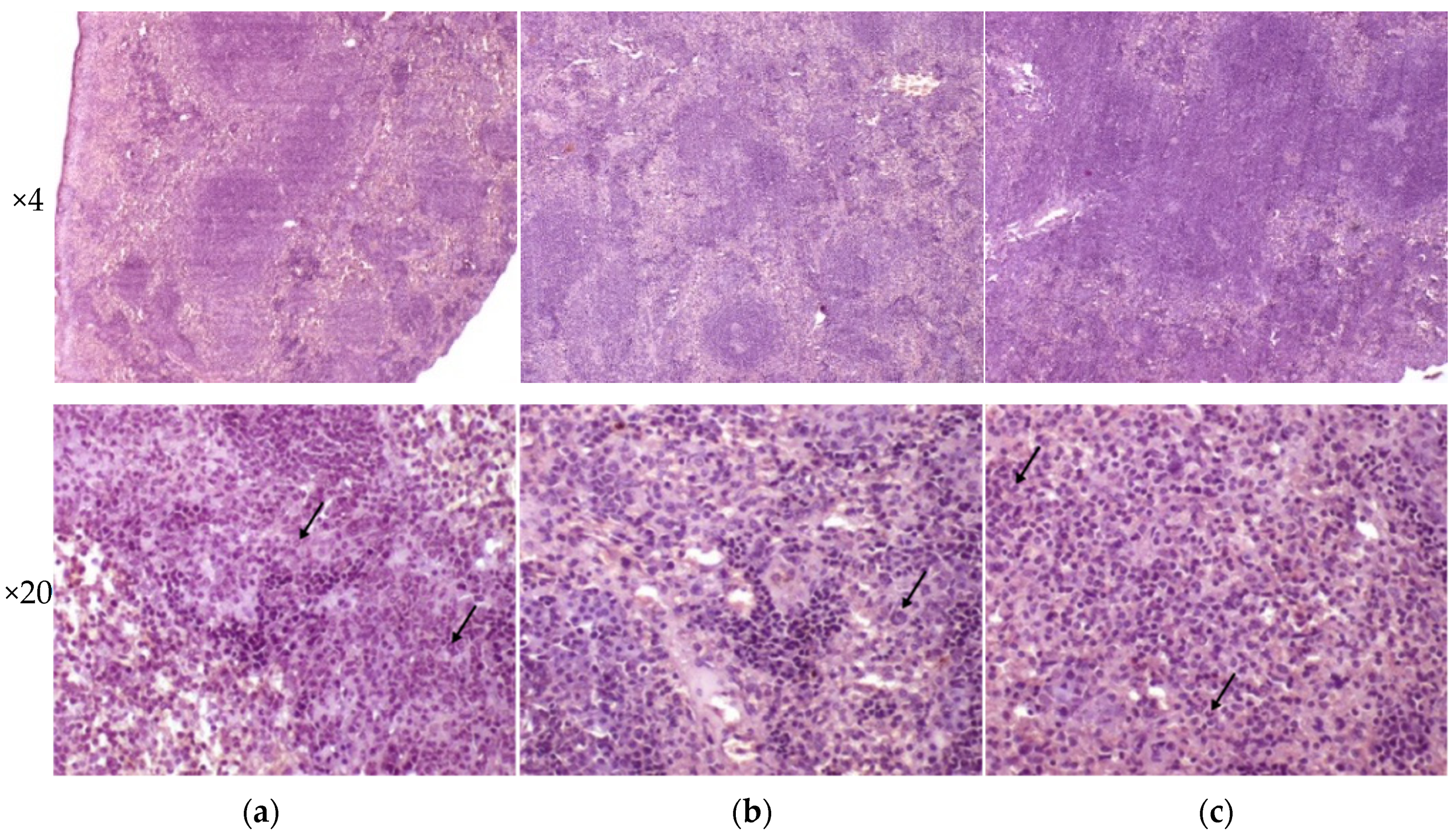 Microorganisms 09 01792 g007 Microorganisms 09 01792 g007