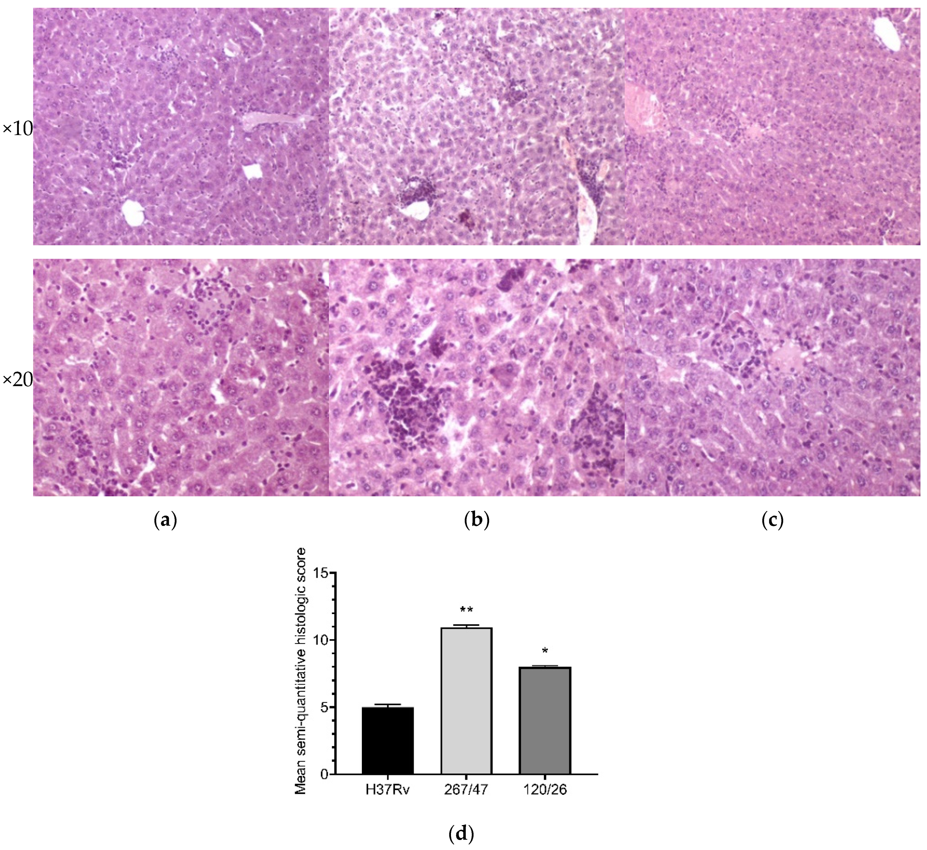 Microorganisms 09 01792 g008 Microorganisms 09 01792 g008