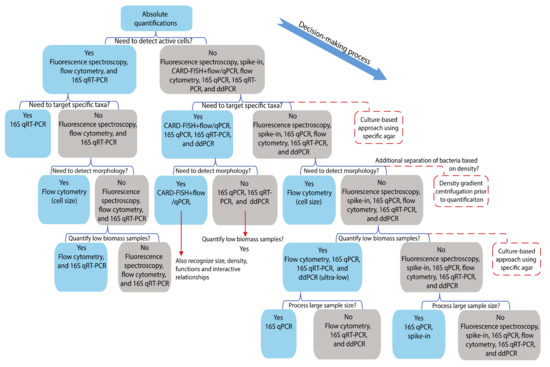 Current Applications of Absolute Bacterial Quantification in Microbiome ...