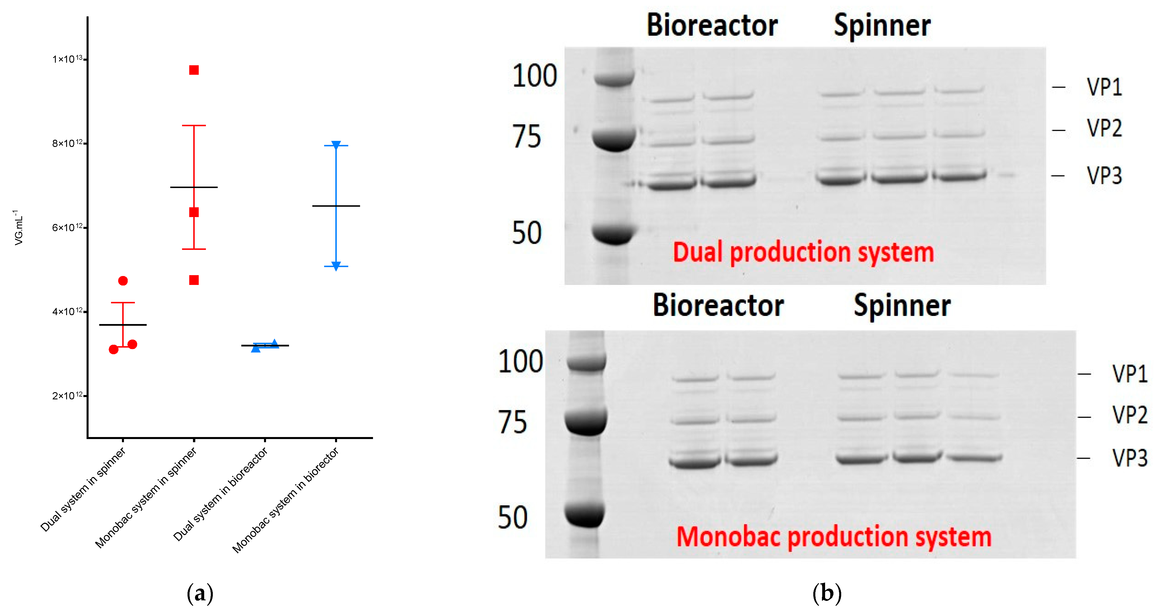 Microorganisms 09 01799 g004