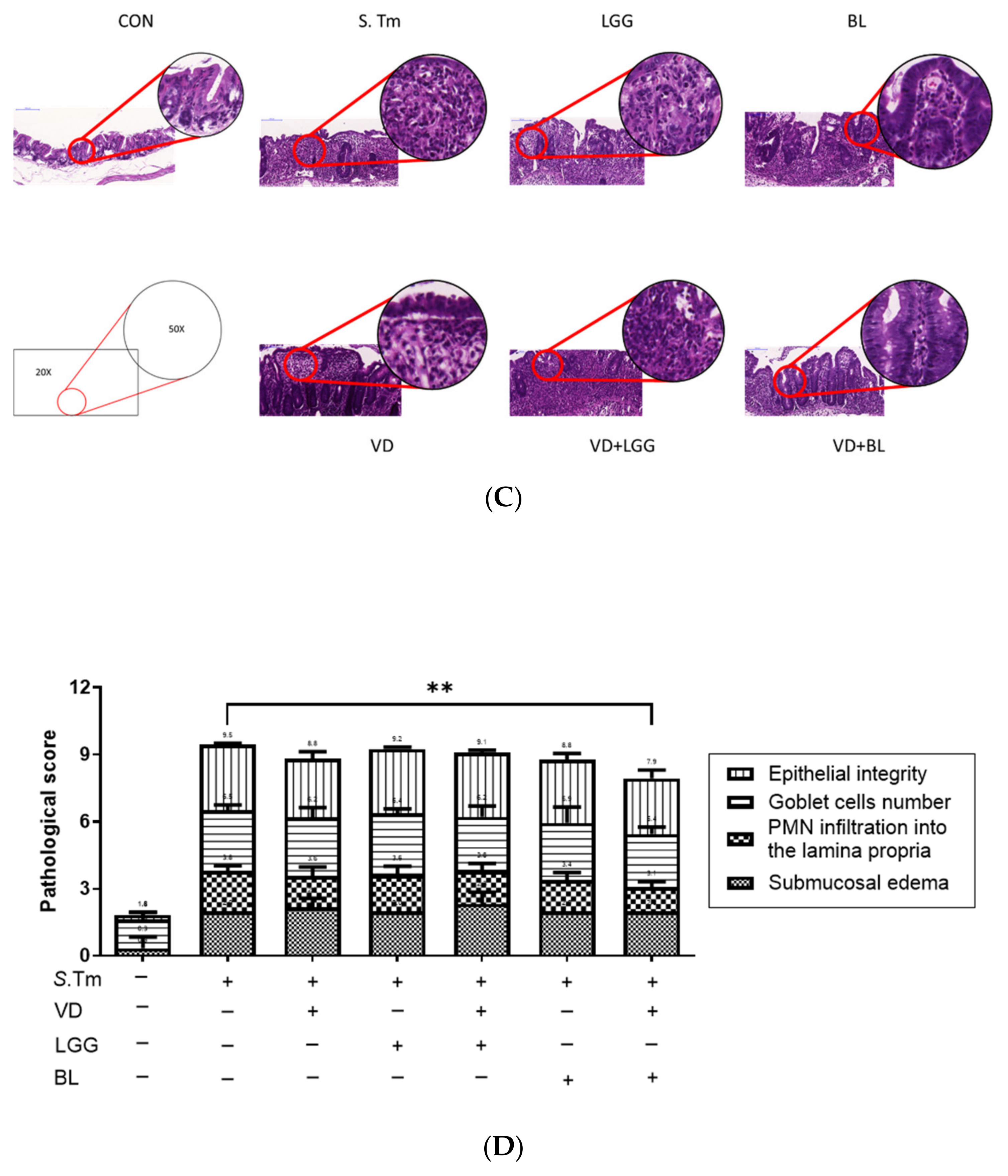 Microorganisms 09 01804 g001b