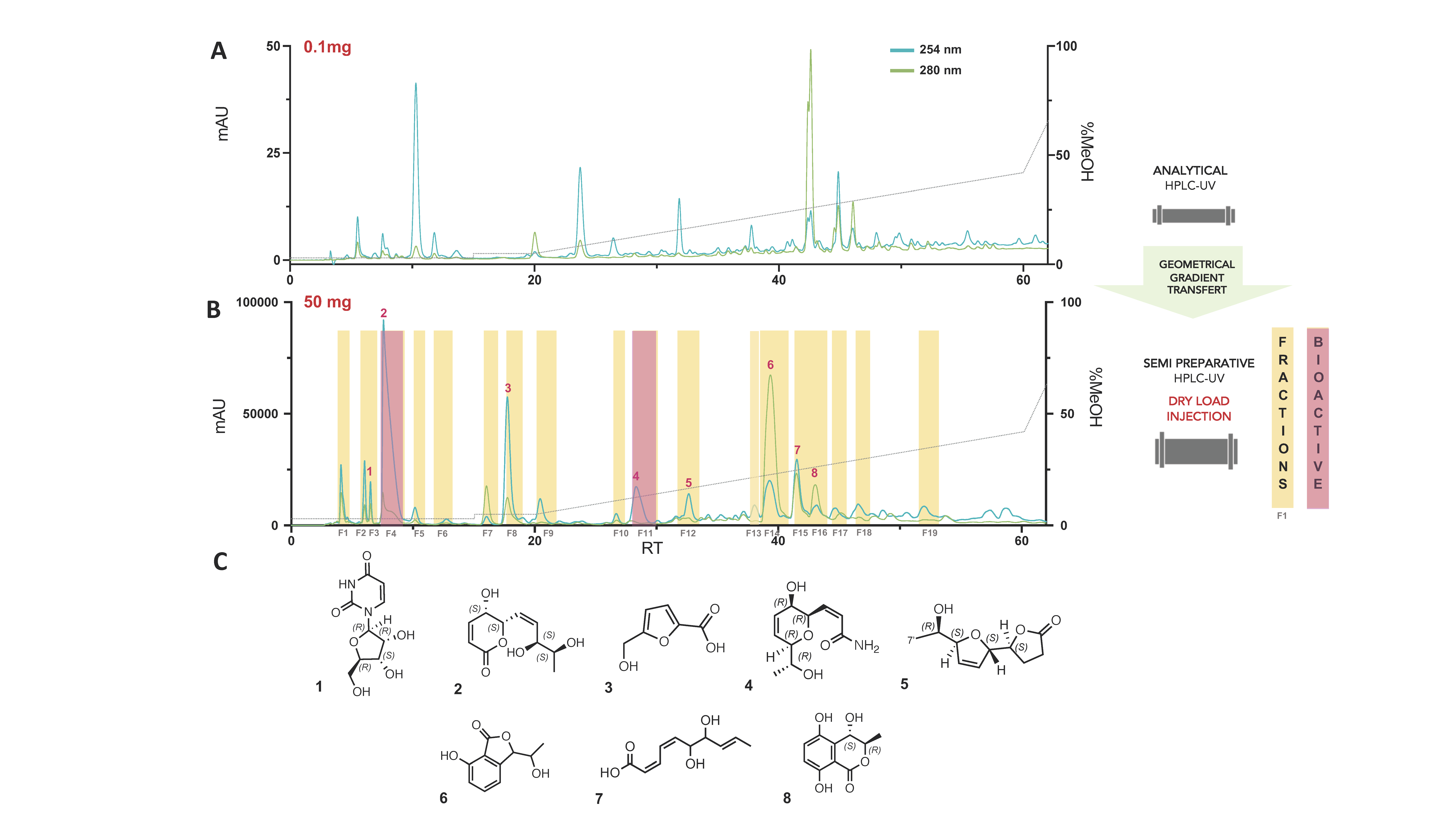 Microorganisms 09 01807 g001