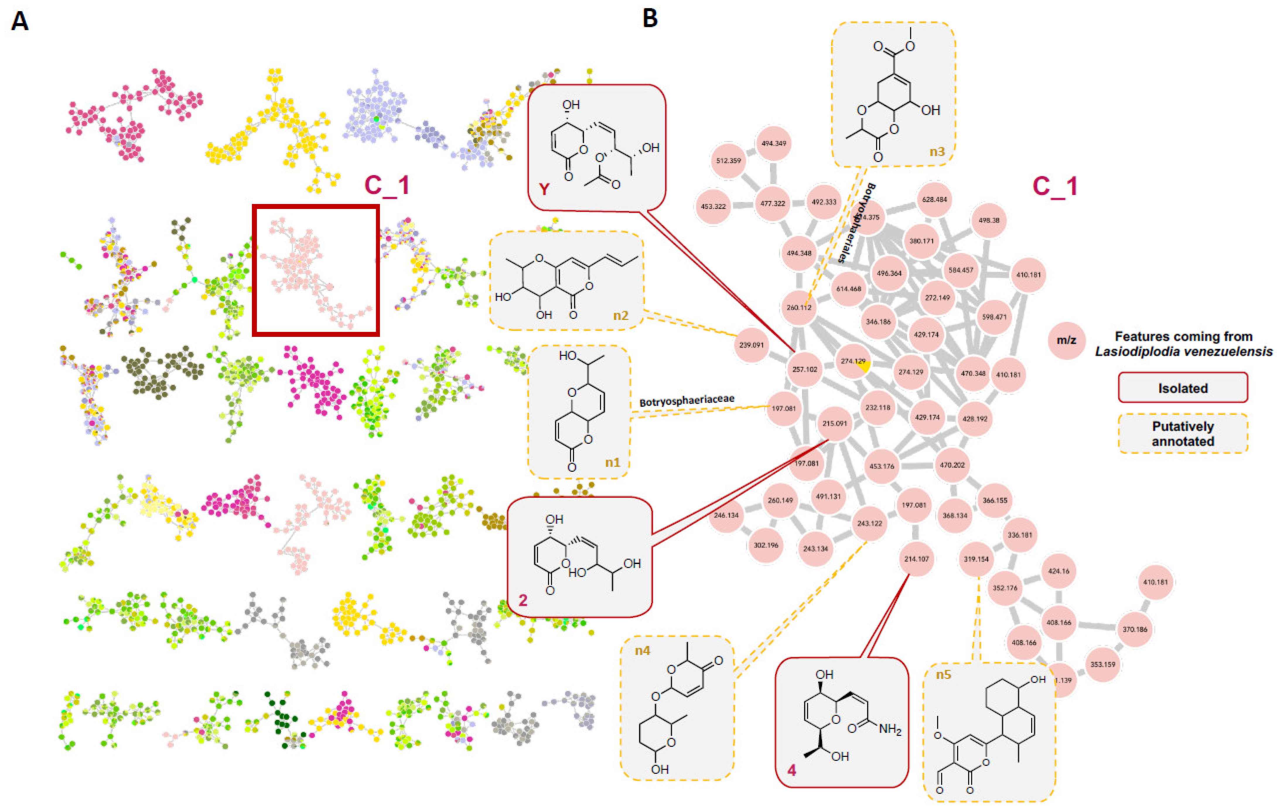 Microorganisms 09 01807 g004