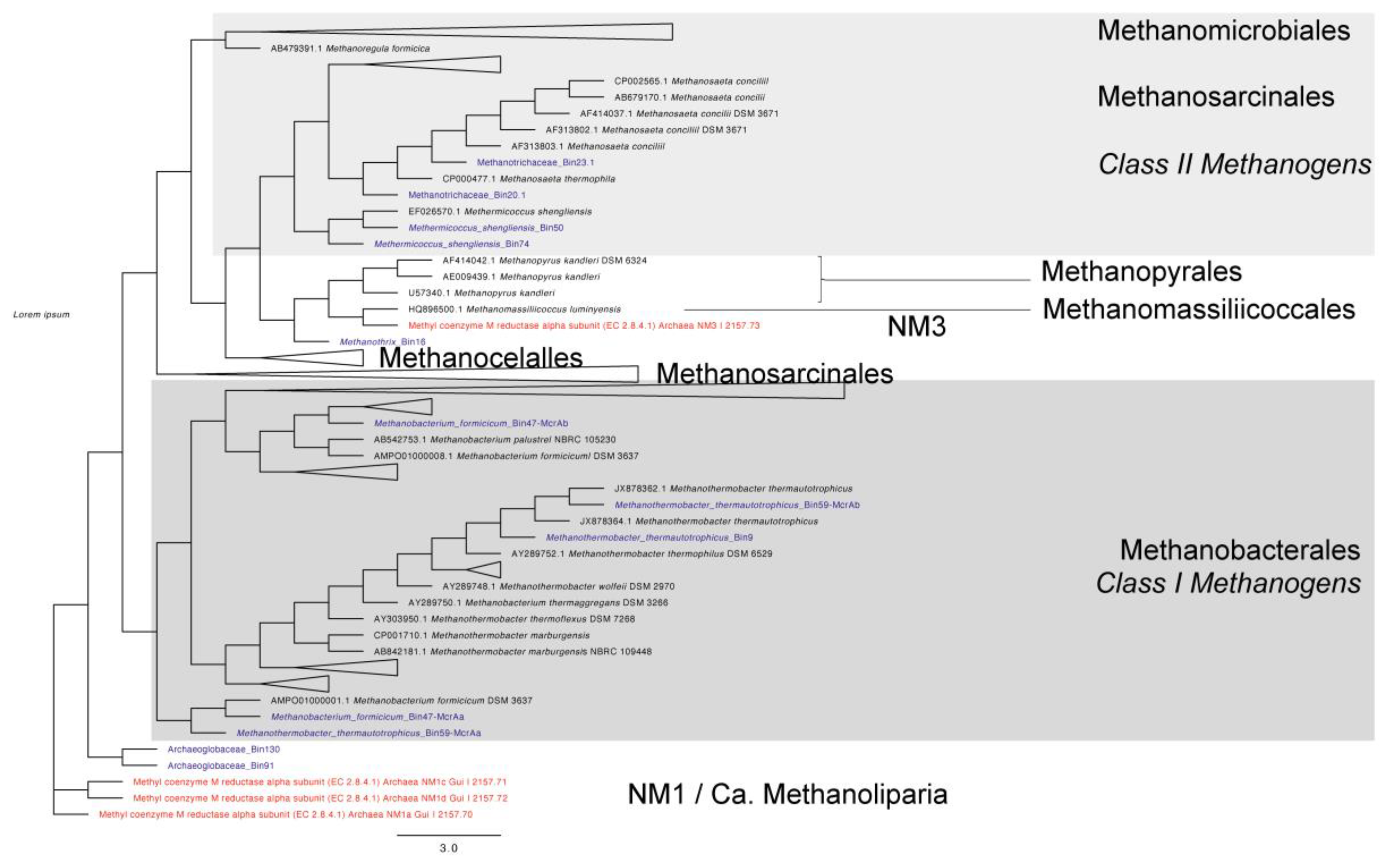 Microorganisms 09 01812 g006 Microorganisms 09 01812 g006