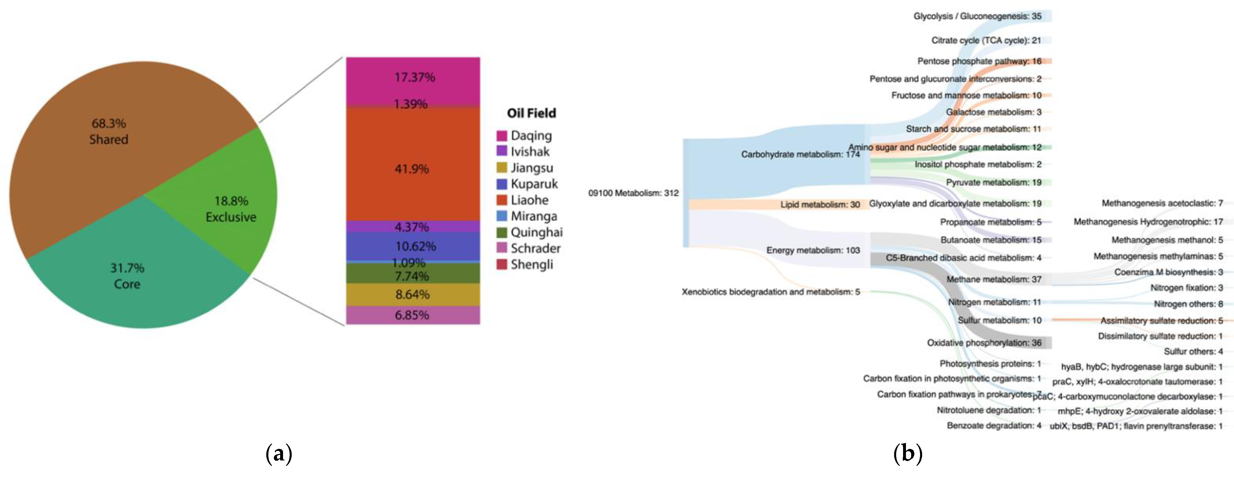 Microorganisms 09 01812 g007a Microorganisms 09 01812 g007a