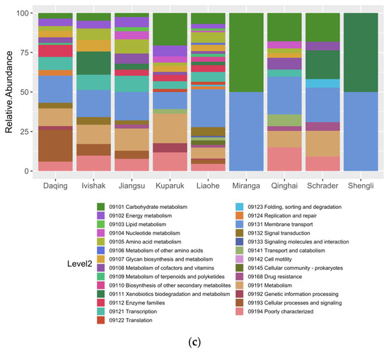 Full article: Prokaryotic Community Characterization in a Mesothermic and  Water- Flooded Oil Reservoir in Colombia