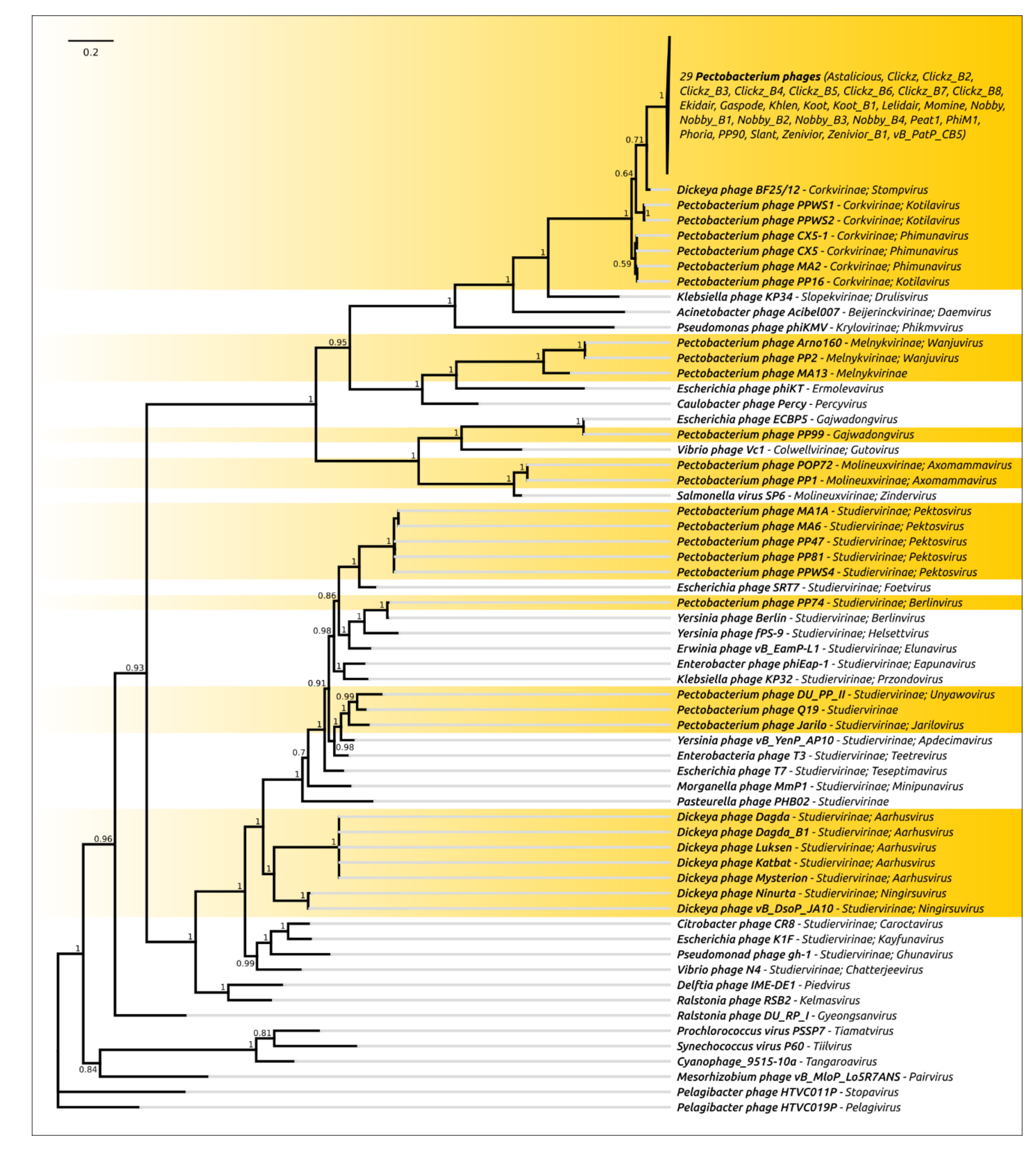 Microorganisms 09 01819 g009