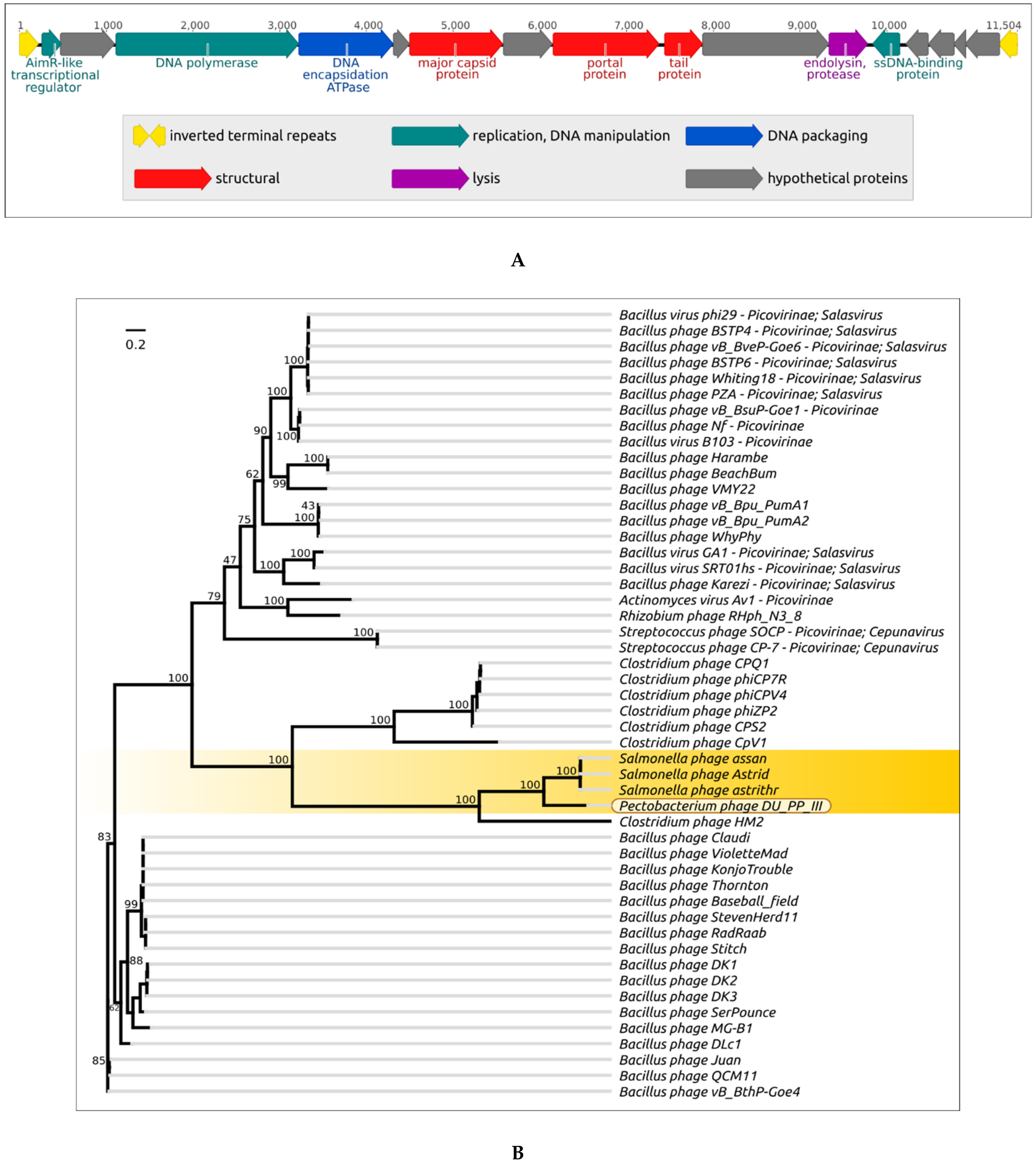 Microorganisms 09 01819 g012a