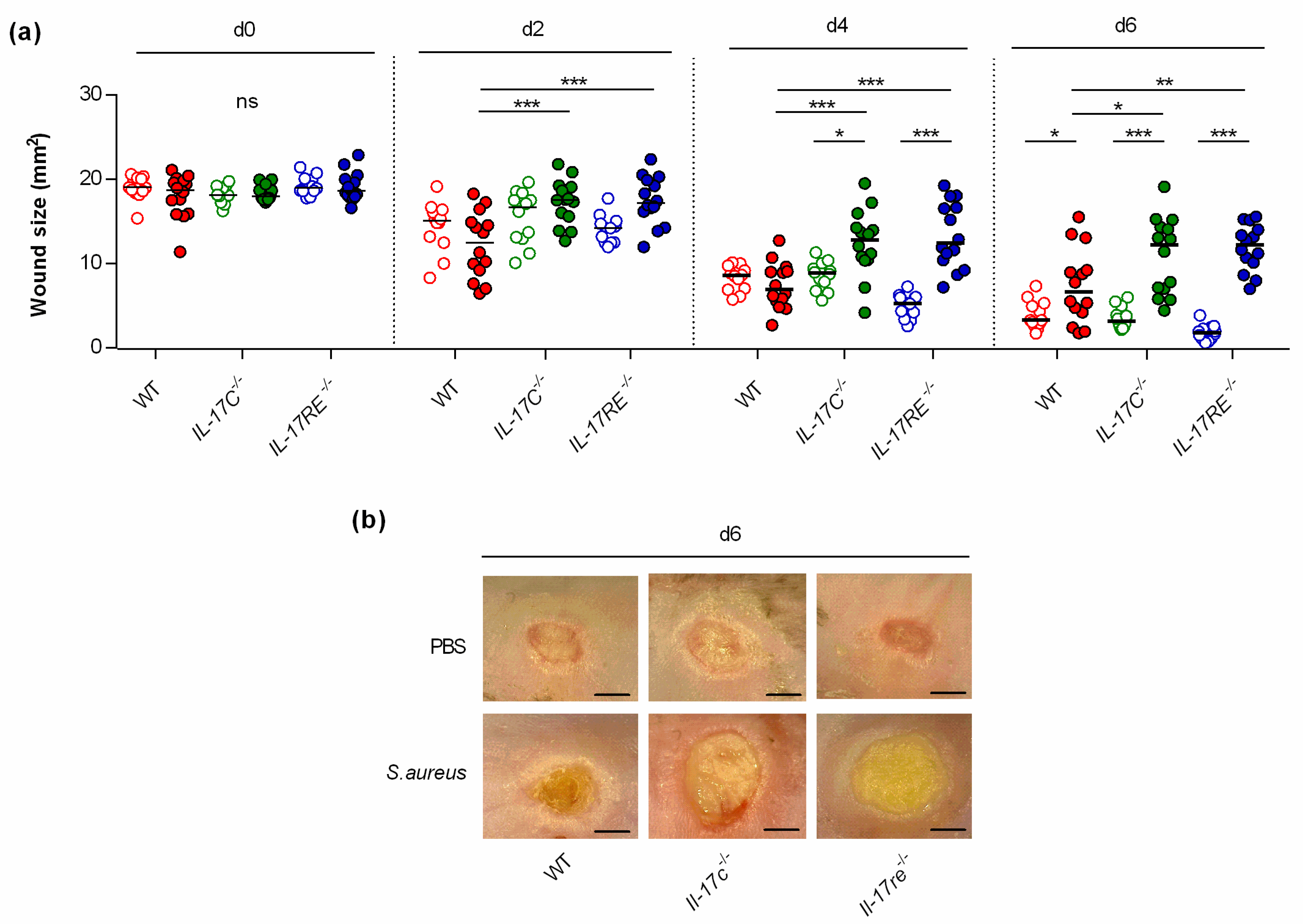 Microorganisms 09 01821 g001