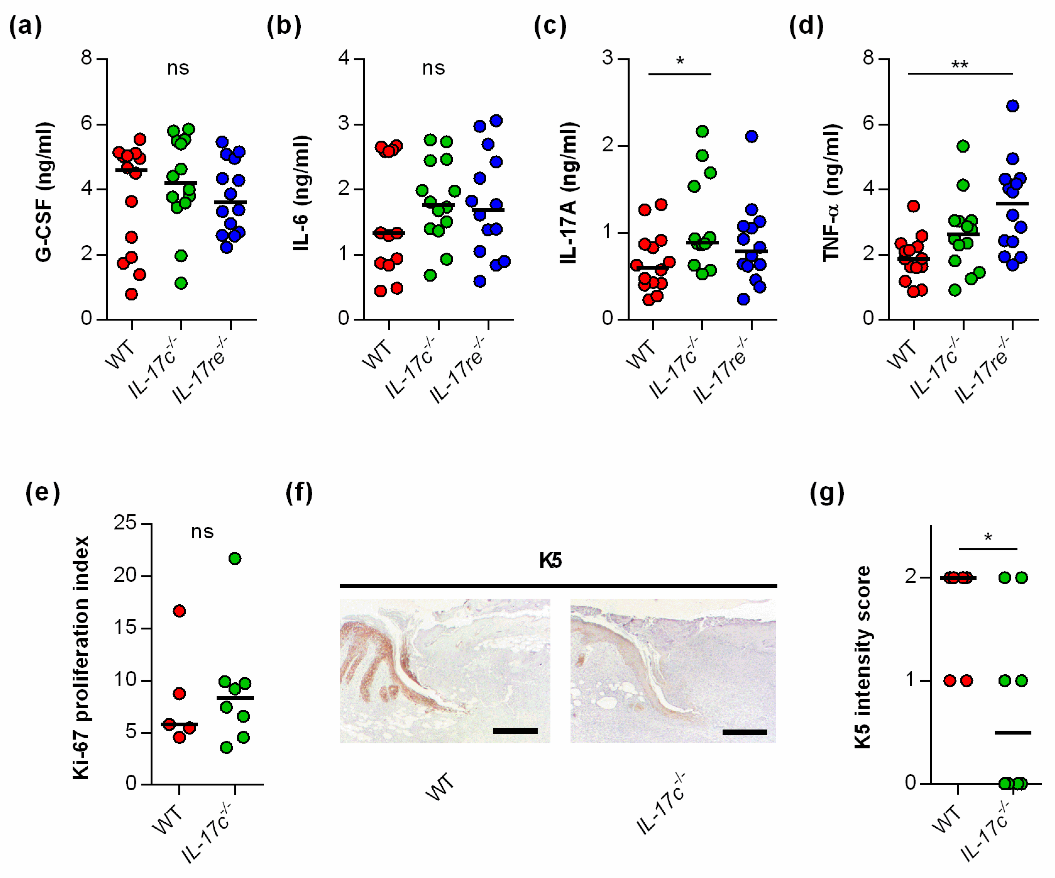 Microorganisms 09 01821 g003