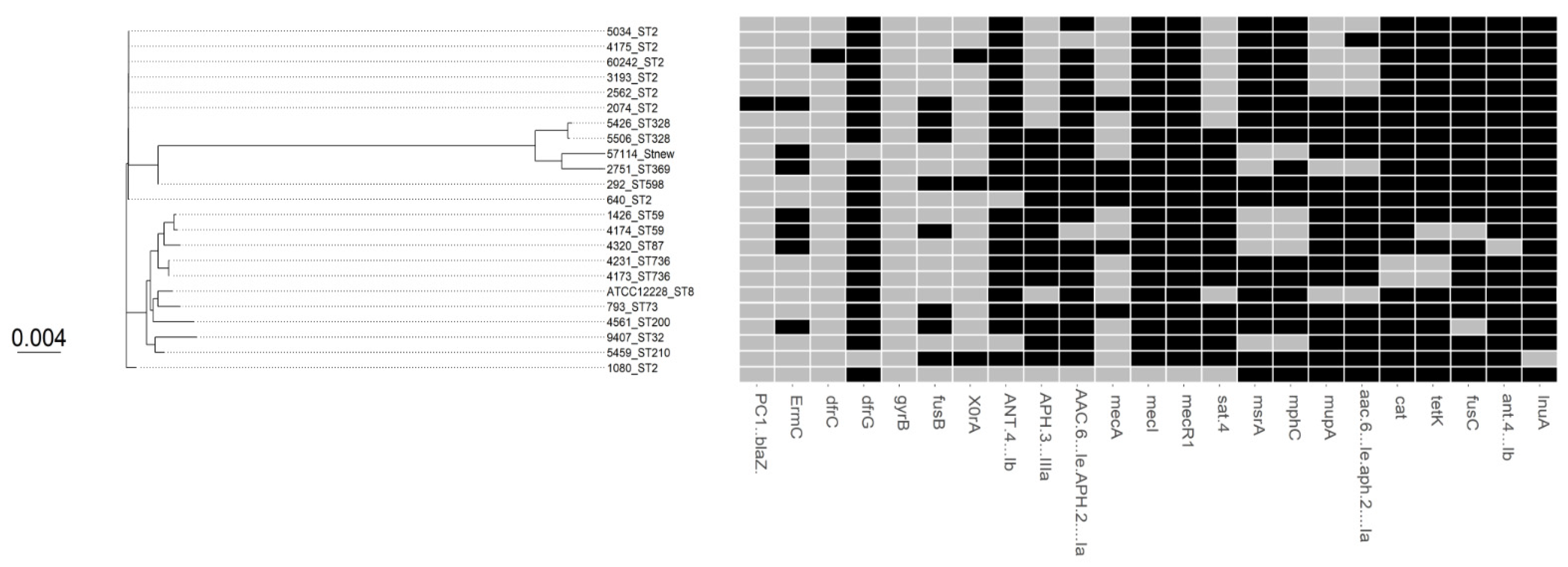 Microorganisms 09 01824 g001