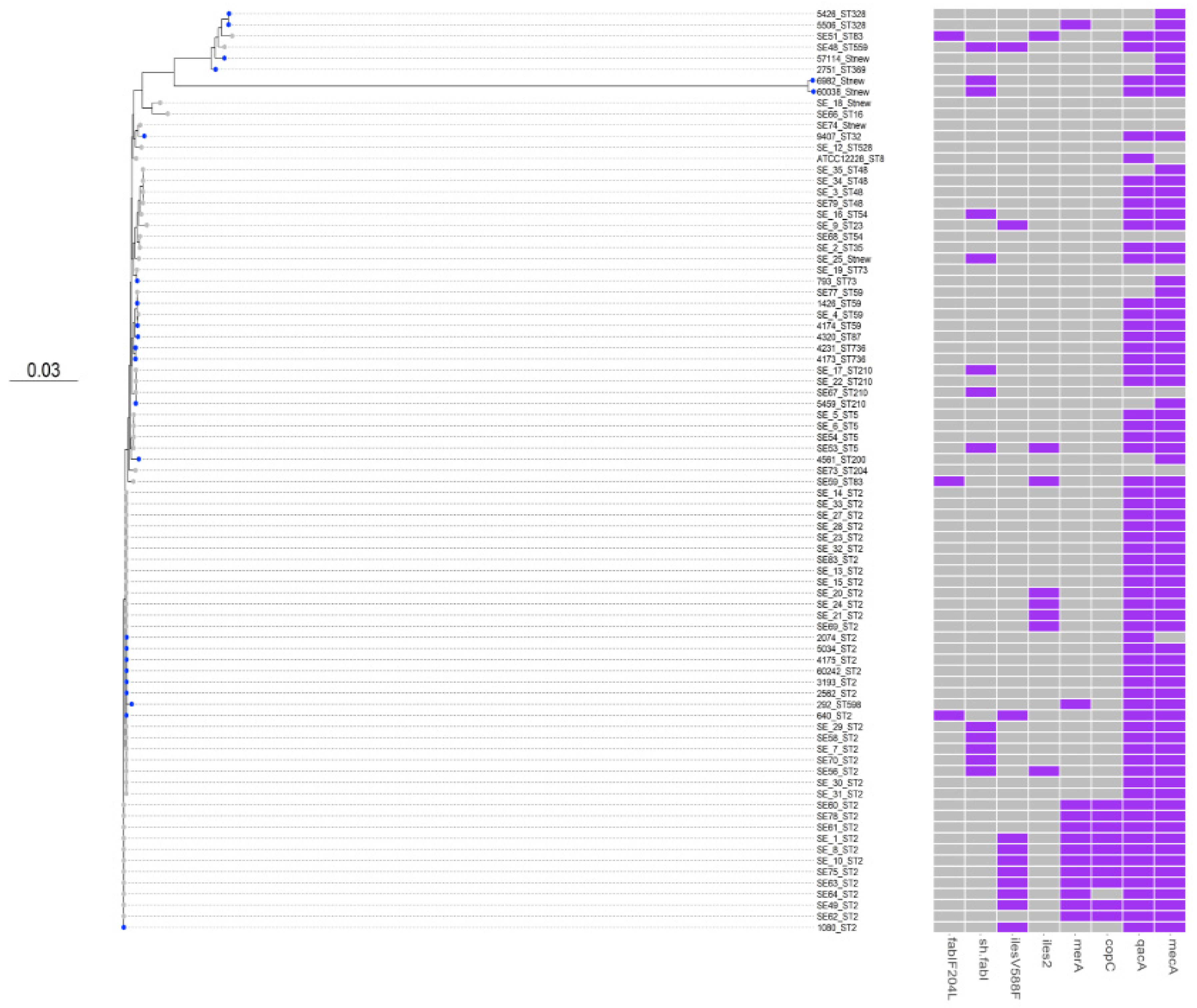 Microorganisms 09 01824 g002