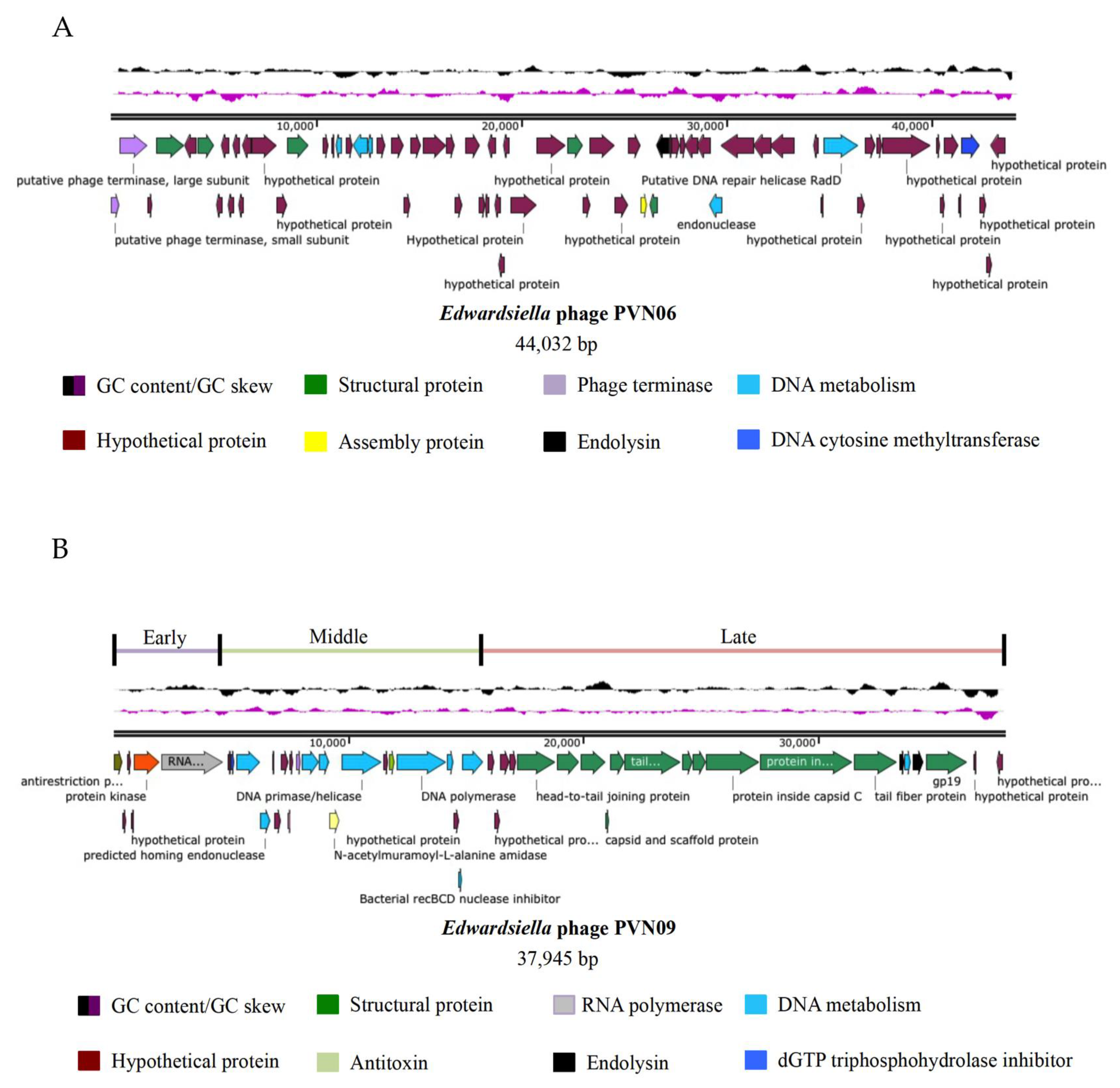 Microorganisms 09 01830 g002
