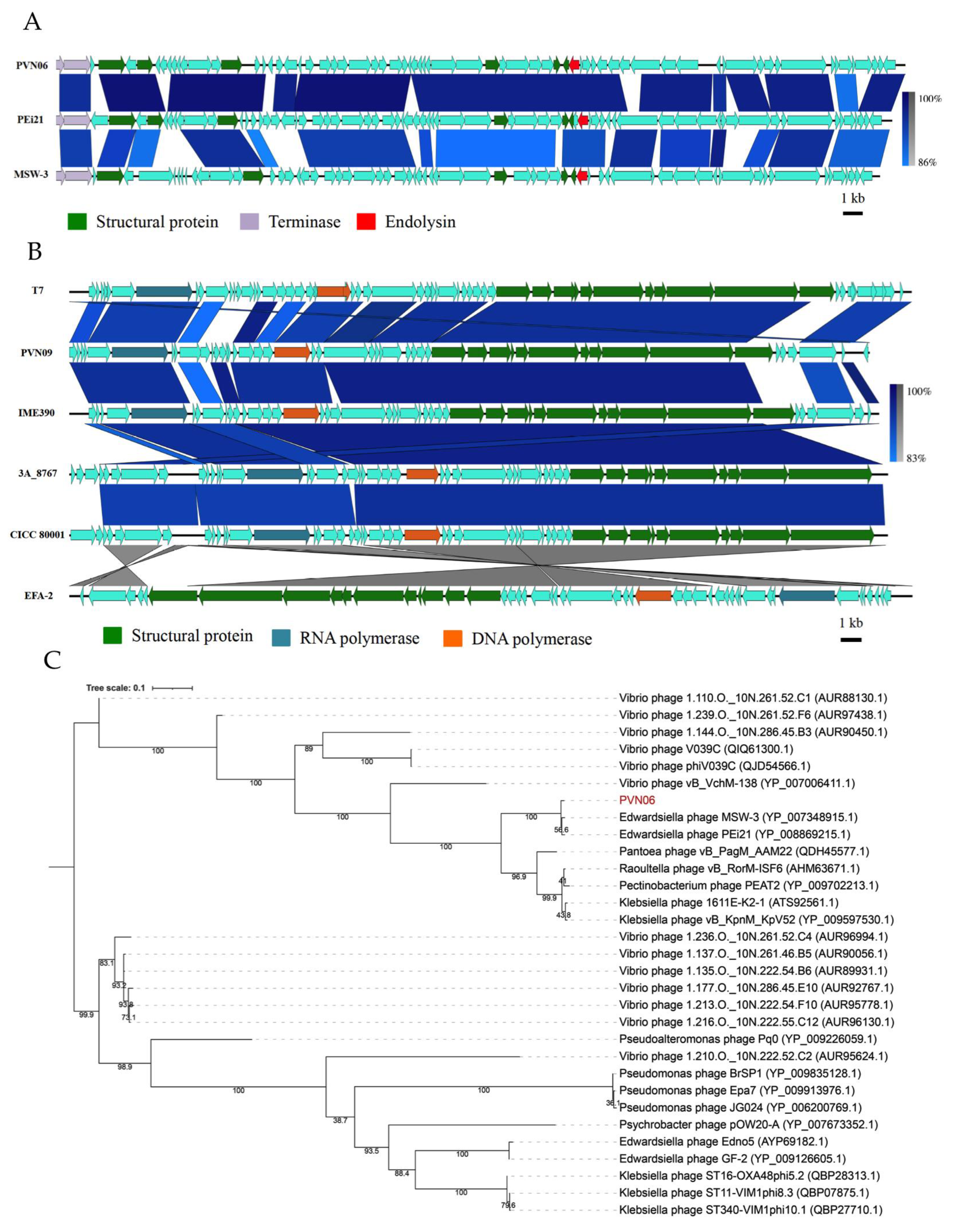 Microorganisms 09 01830 g003a