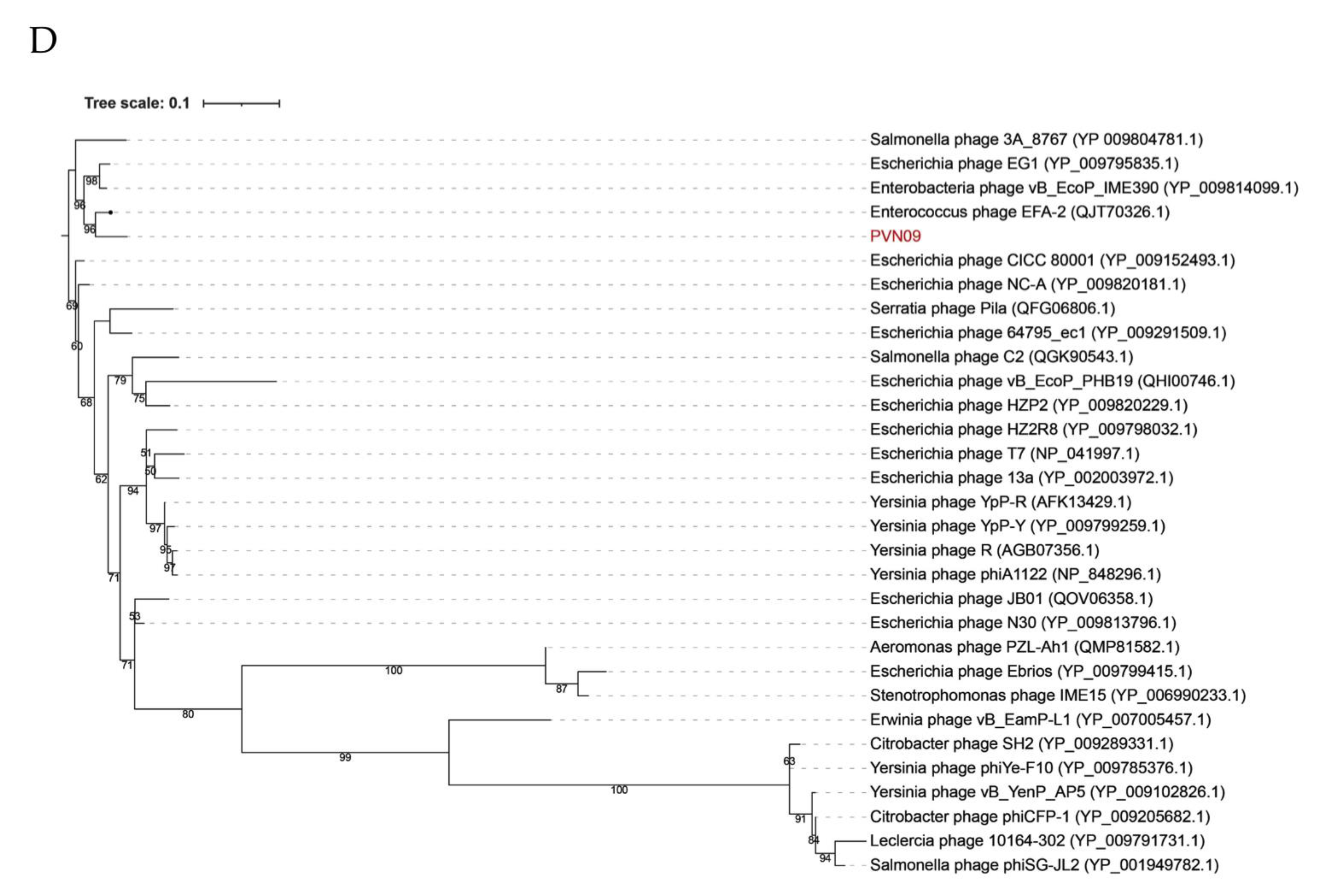 Microorganisms 09 01830 g003b