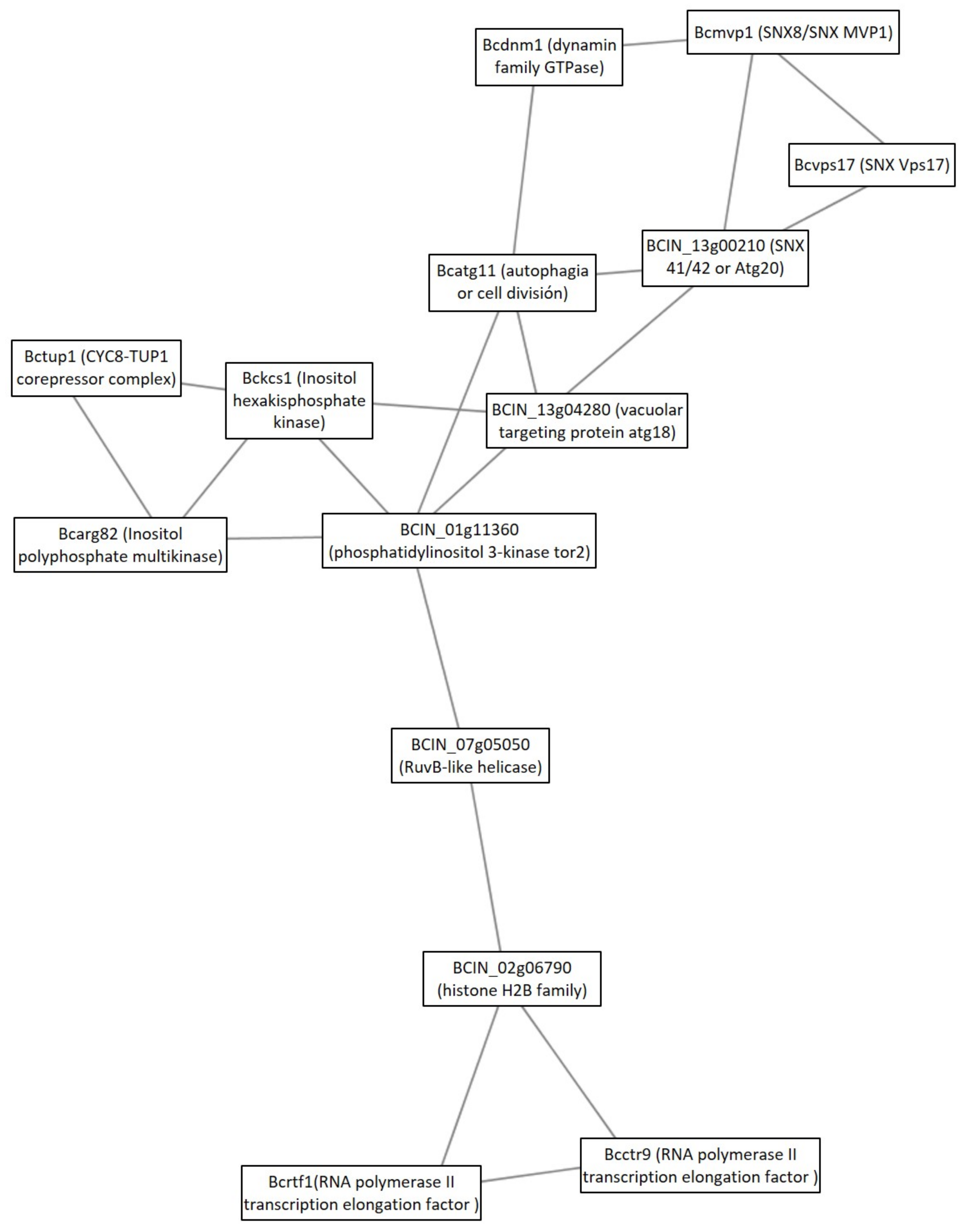 Microorganisms 09 01837 g005