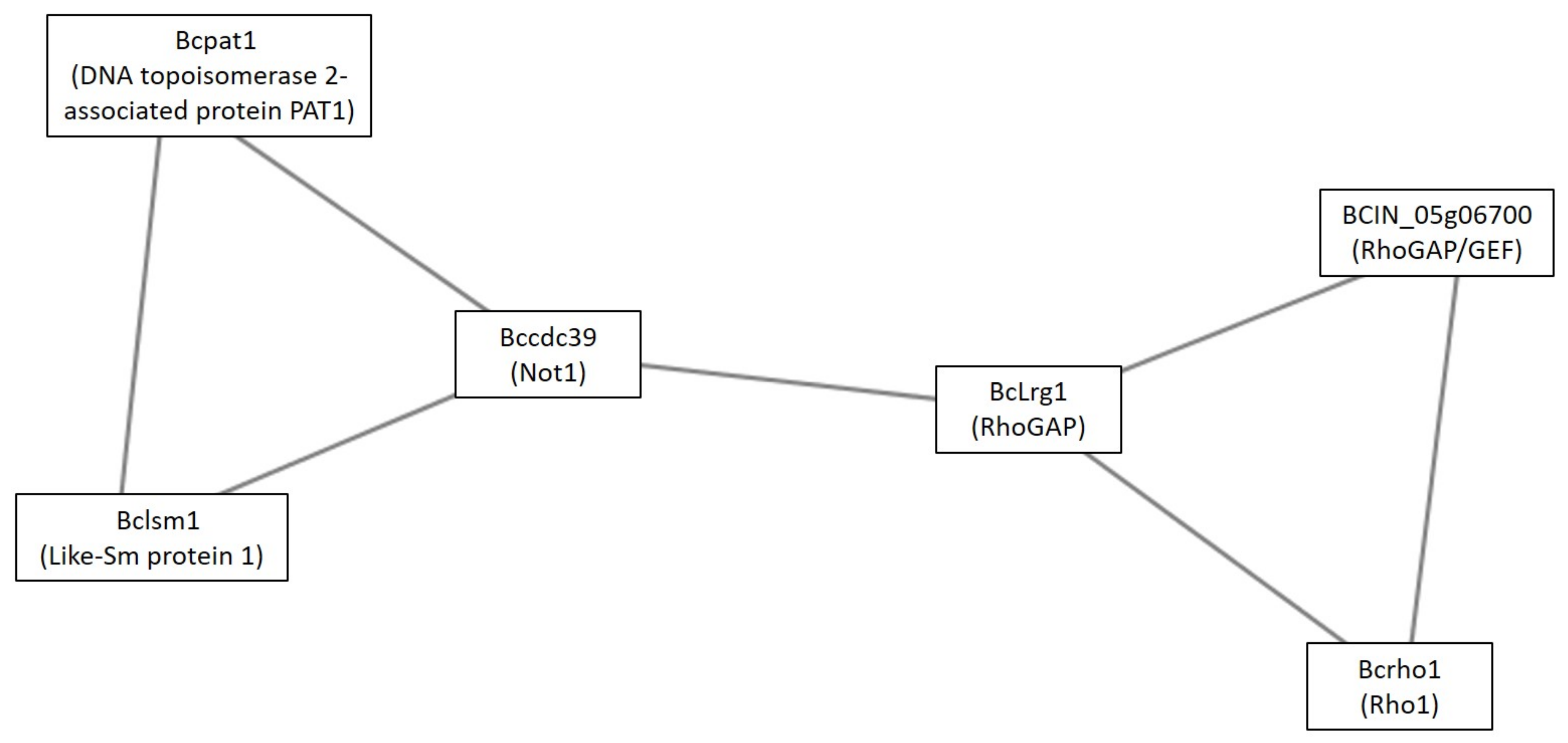 Microorganisms 09 01837 g006