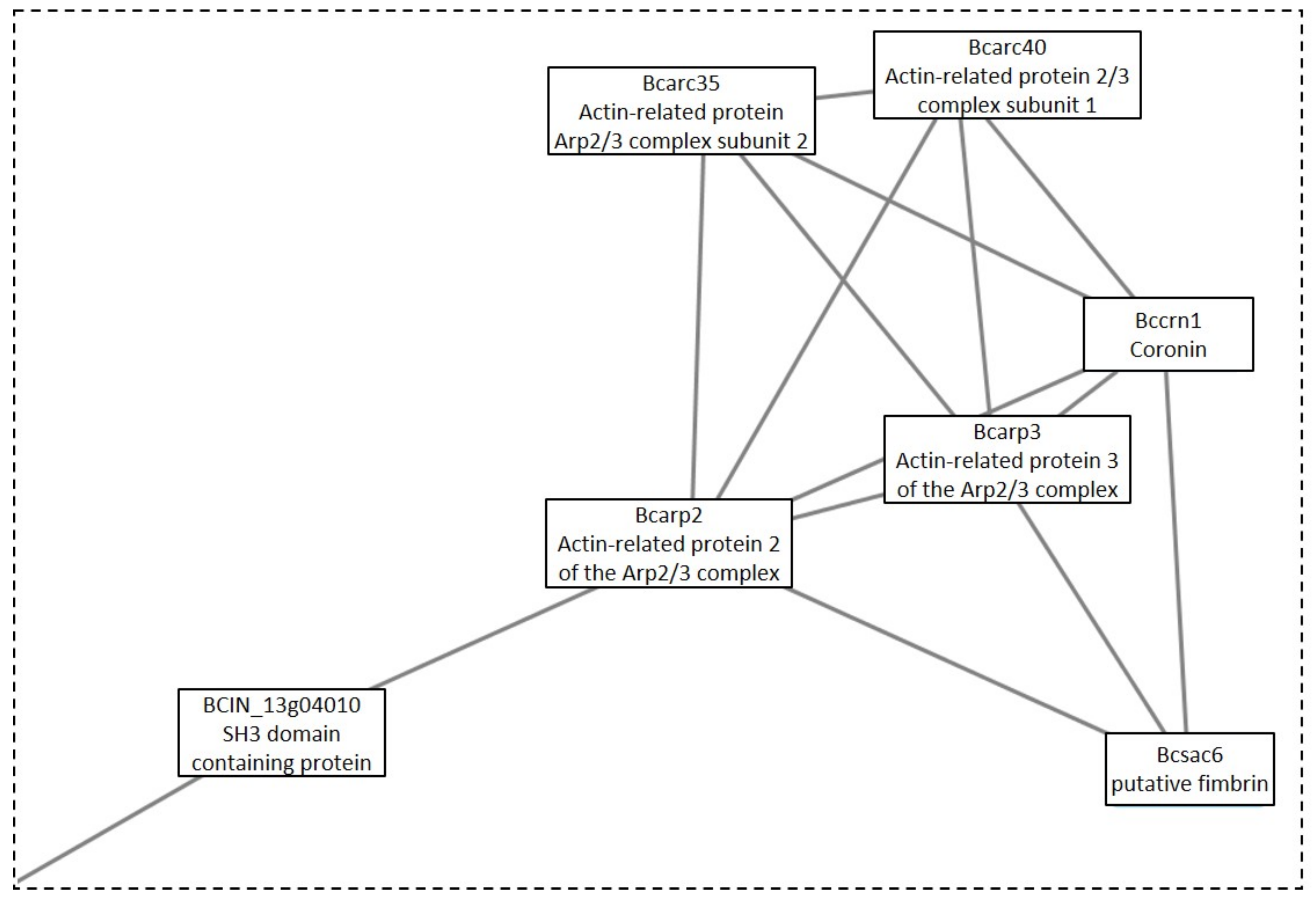Microorganisms 09 01837 g008