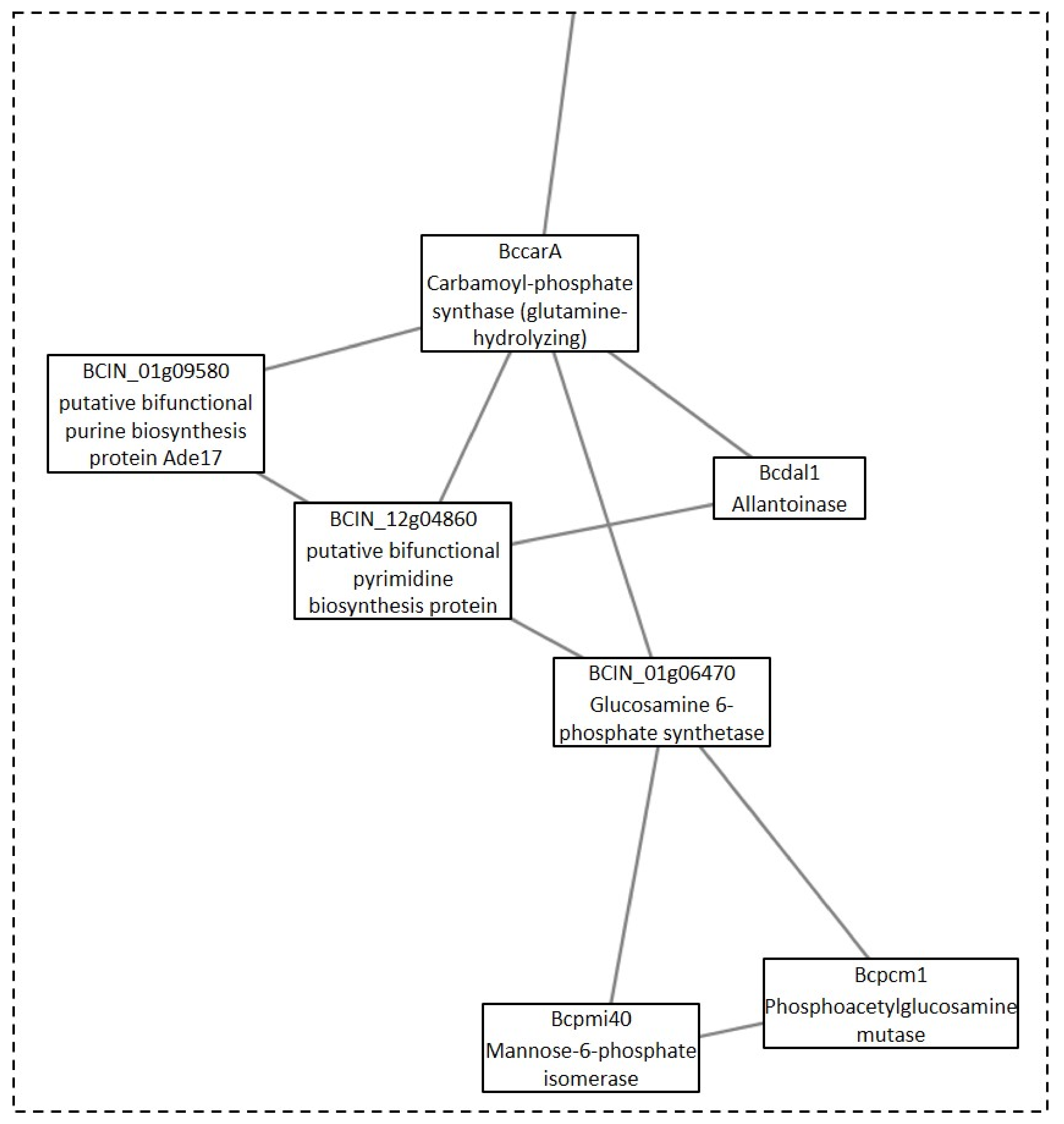 Microorganisms 09 01837 g010