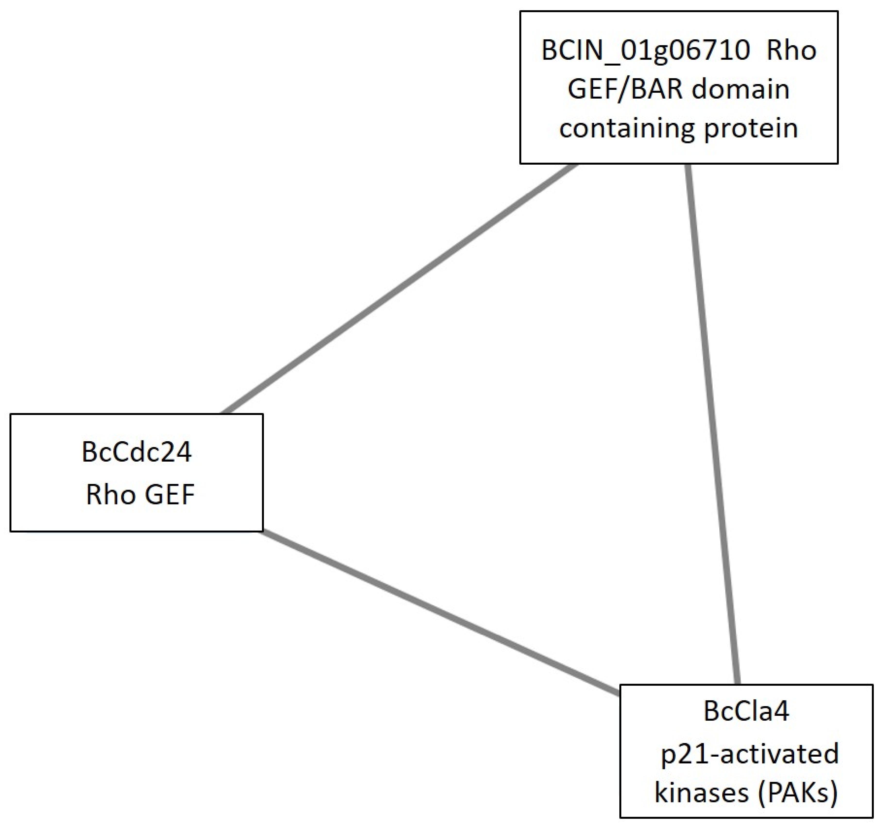 Microorganisms 09 01837 g011