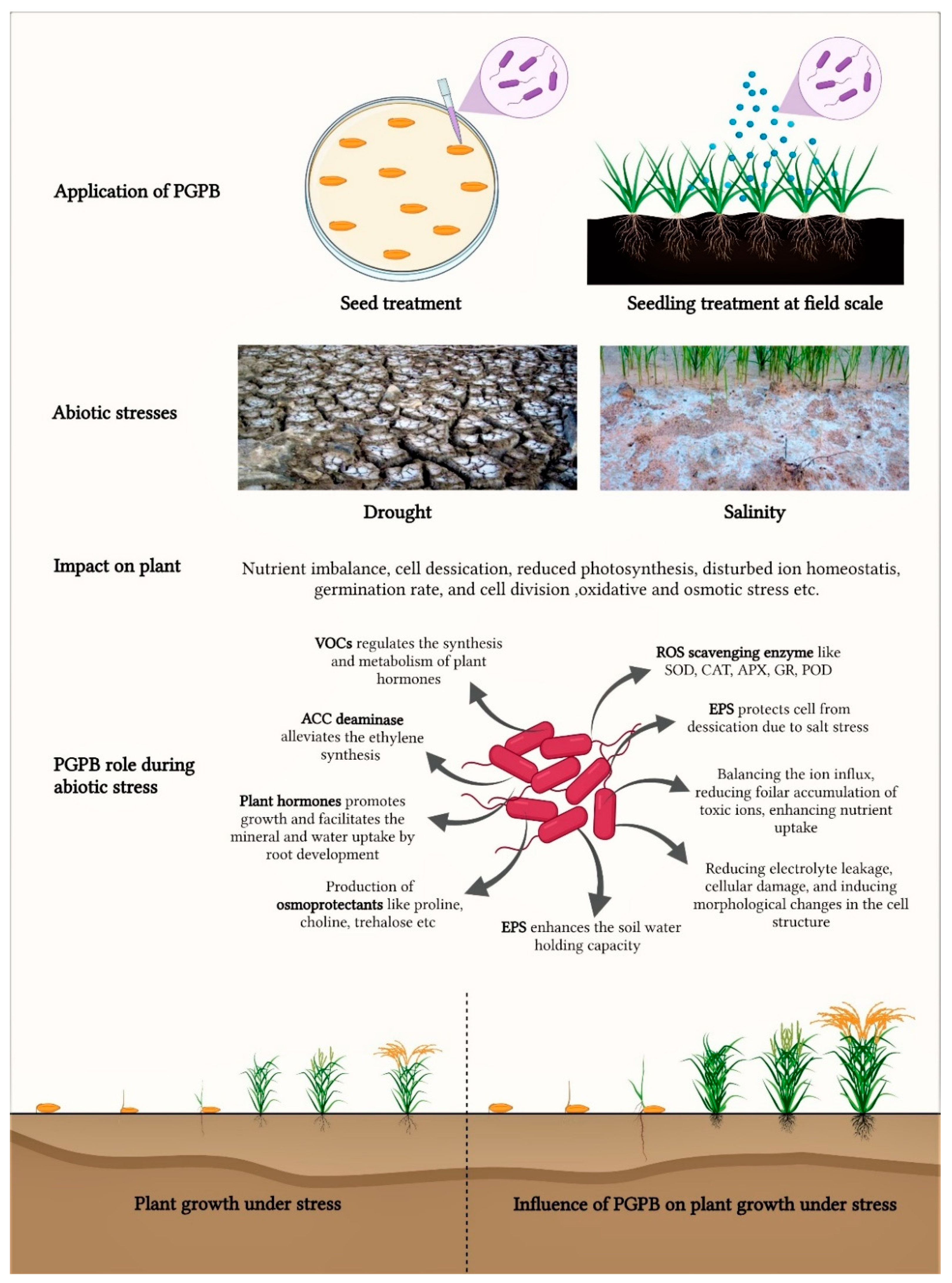 Microorganisms 09 01841 g001 550