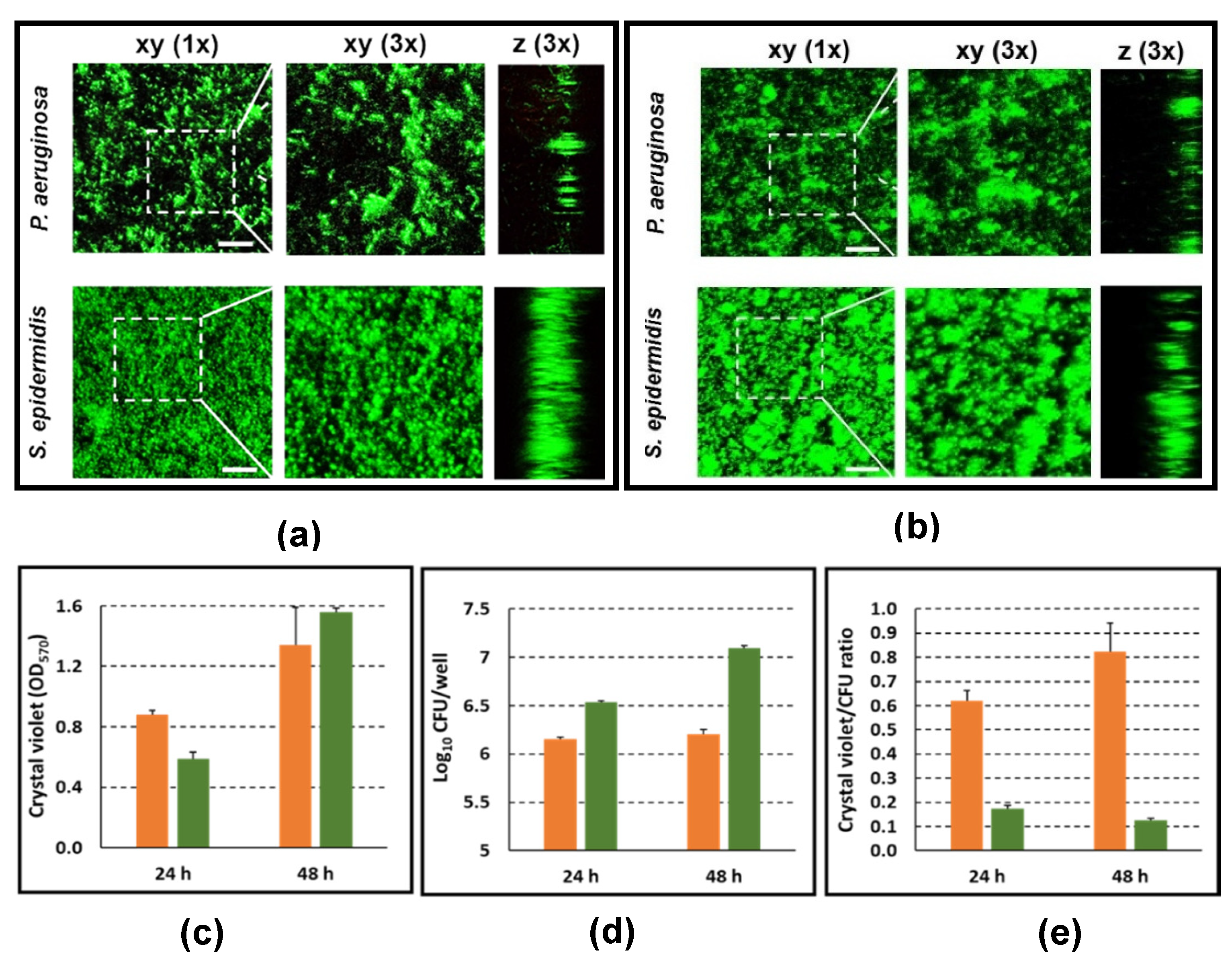 Microorganisms 09 01846 g006