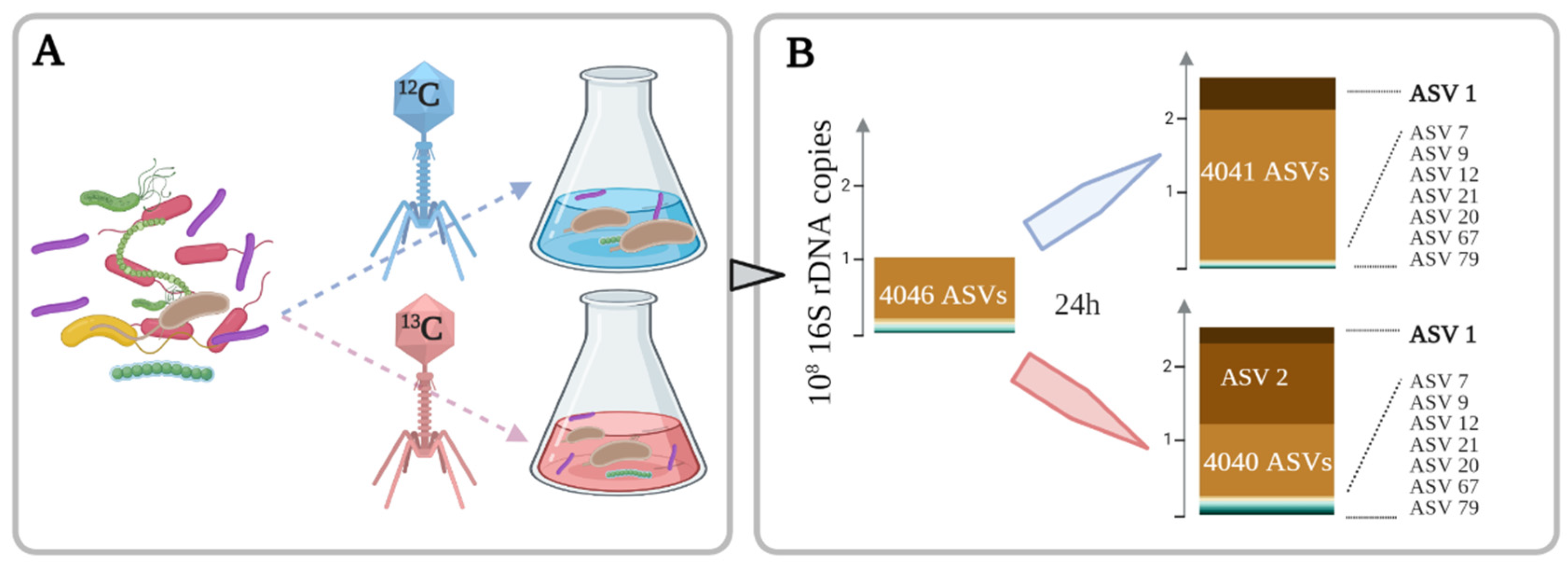Microorganisms 09 01852 g001