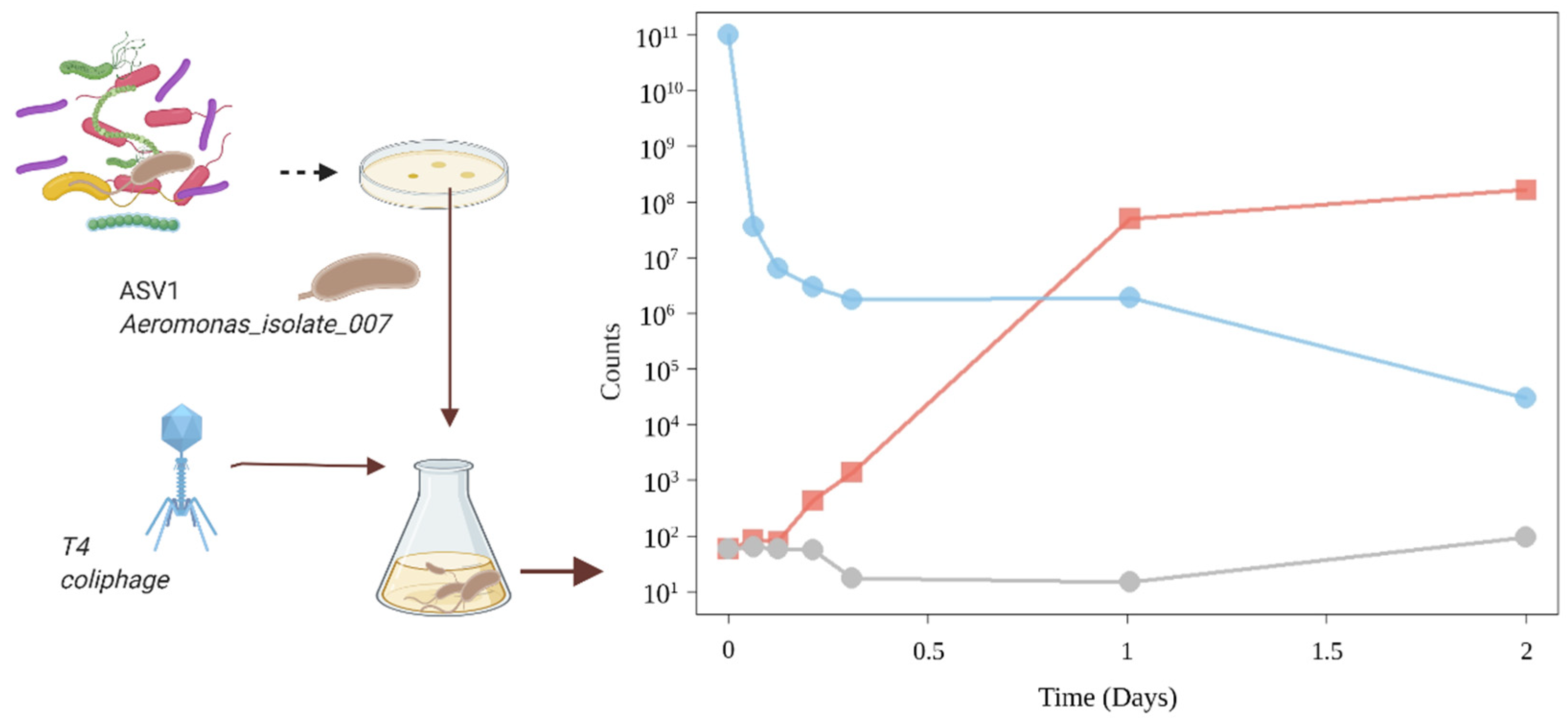 Microorganisms 09 01852 g003