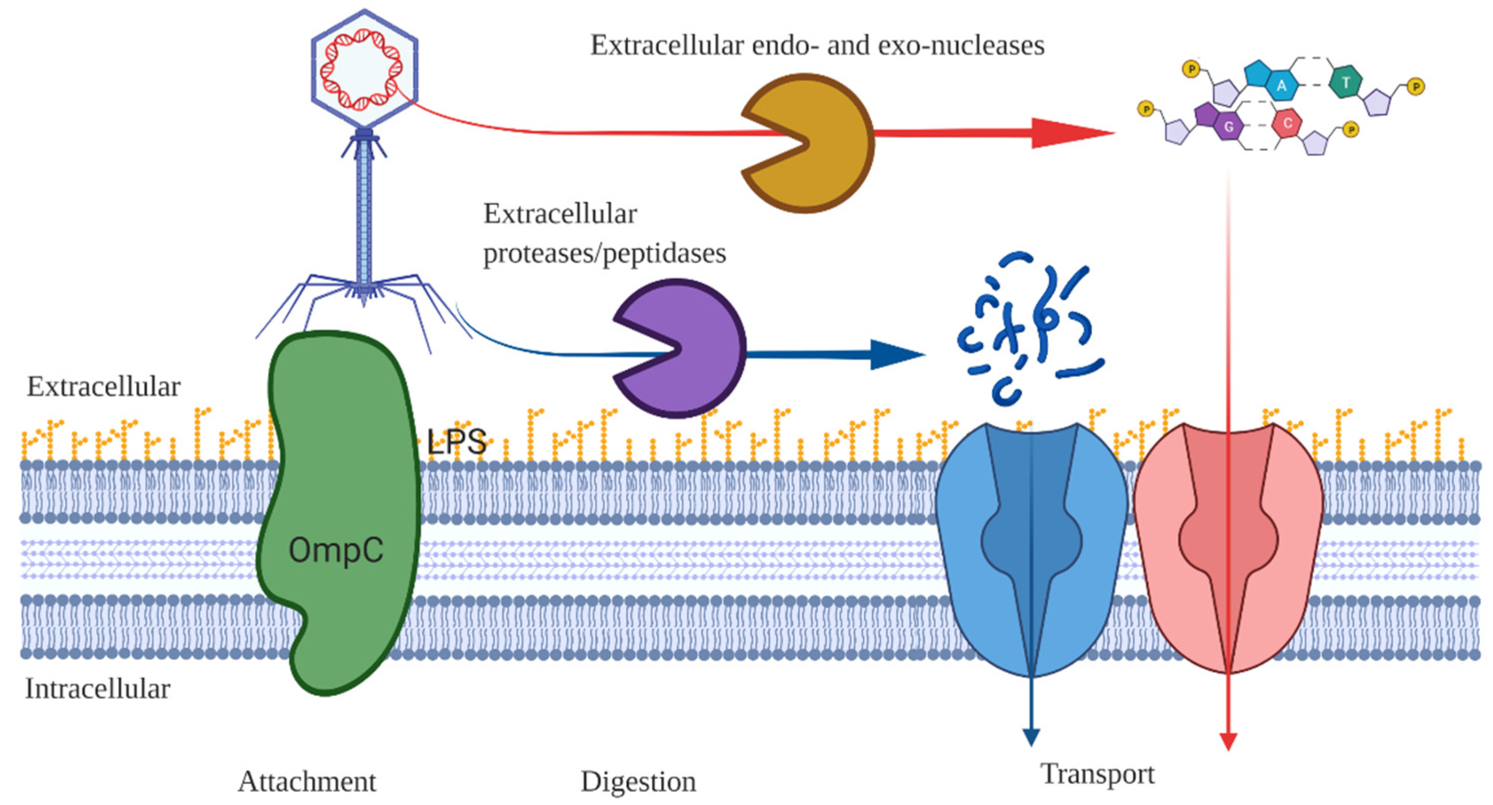 Microorganisms 09 01852 g0a2