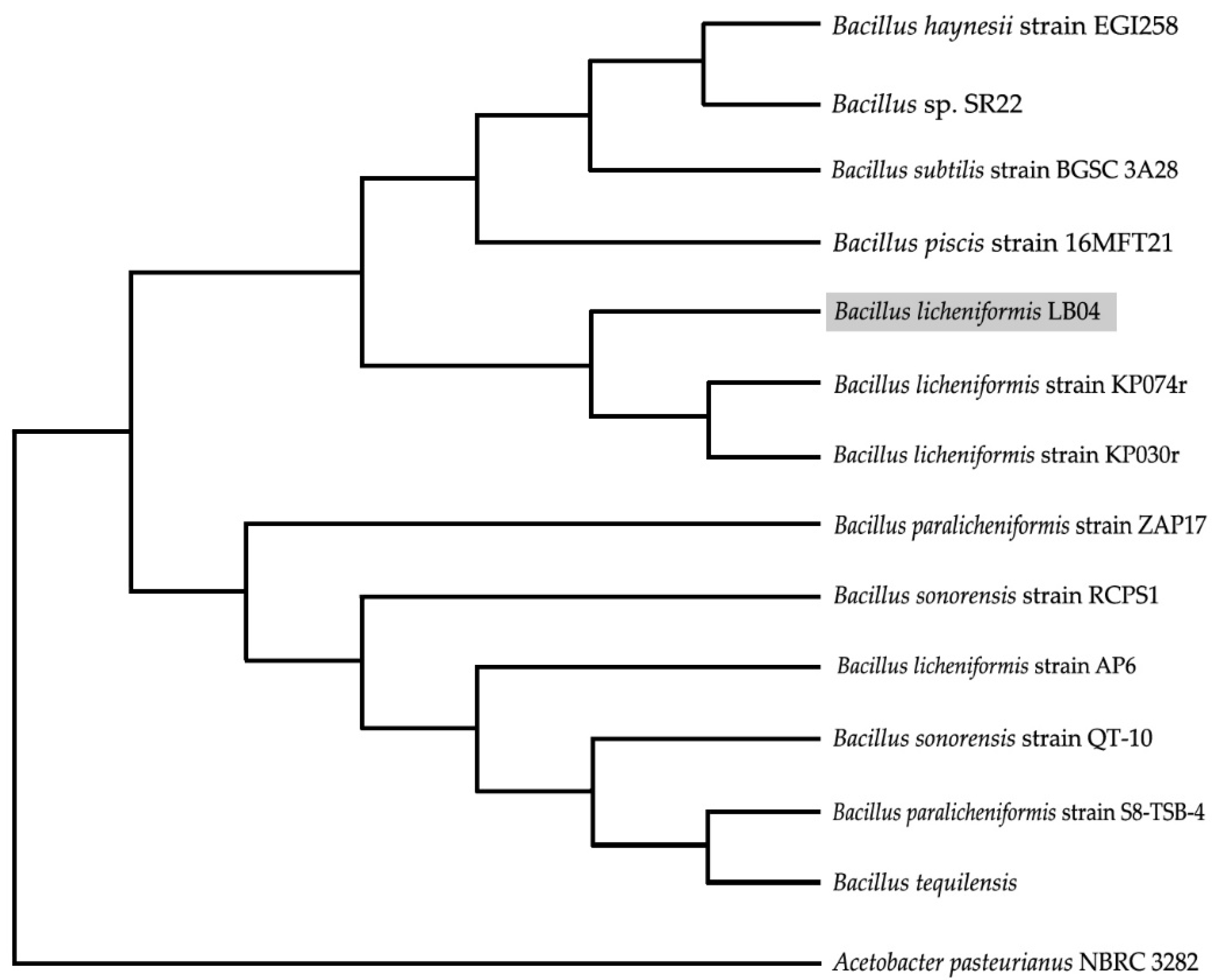 Microorganisms 09 01857 g001