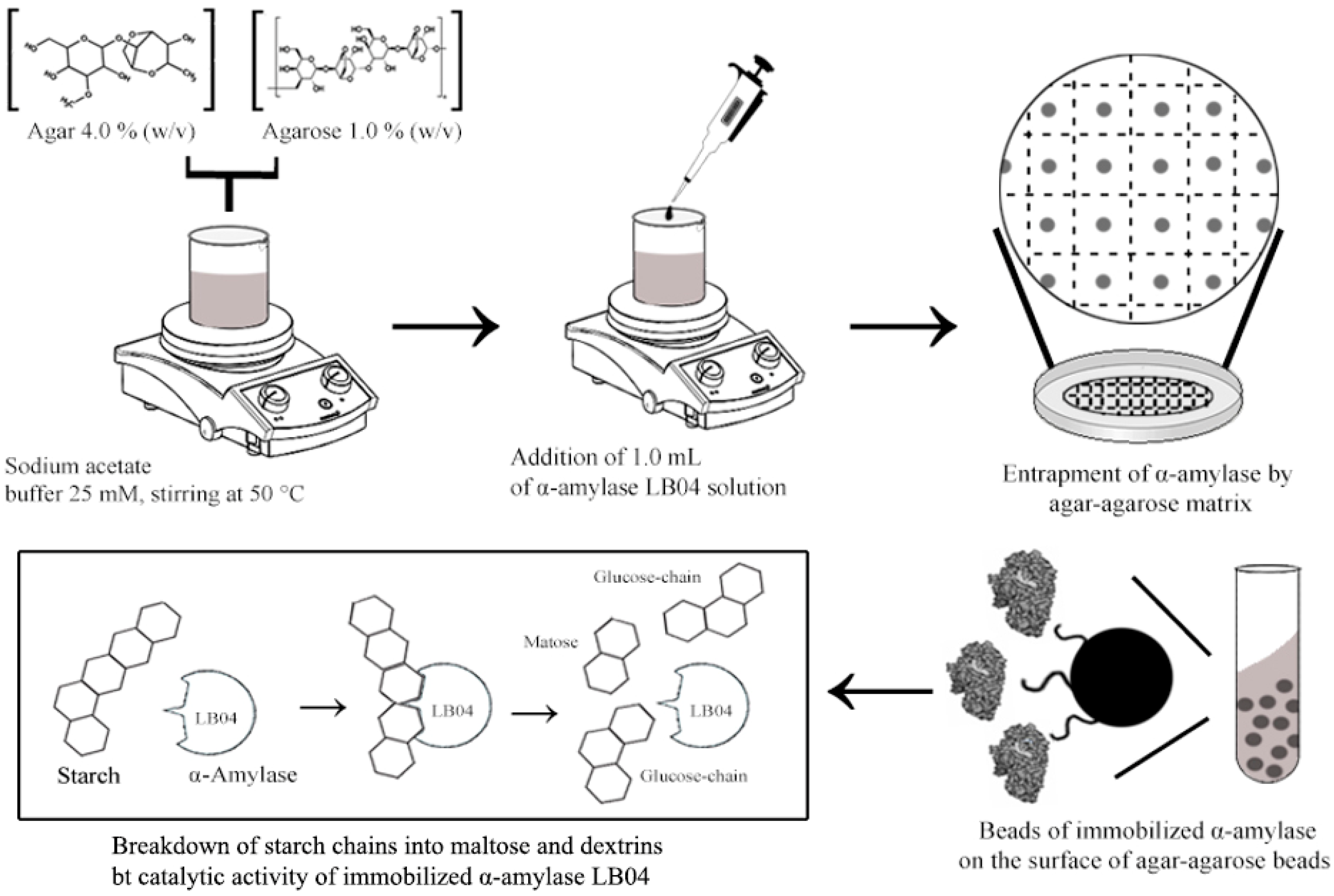 Microorganisms 09 01857 g006