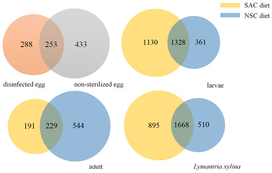 Gut Bacterial Communities of Lymantria xylina and Their