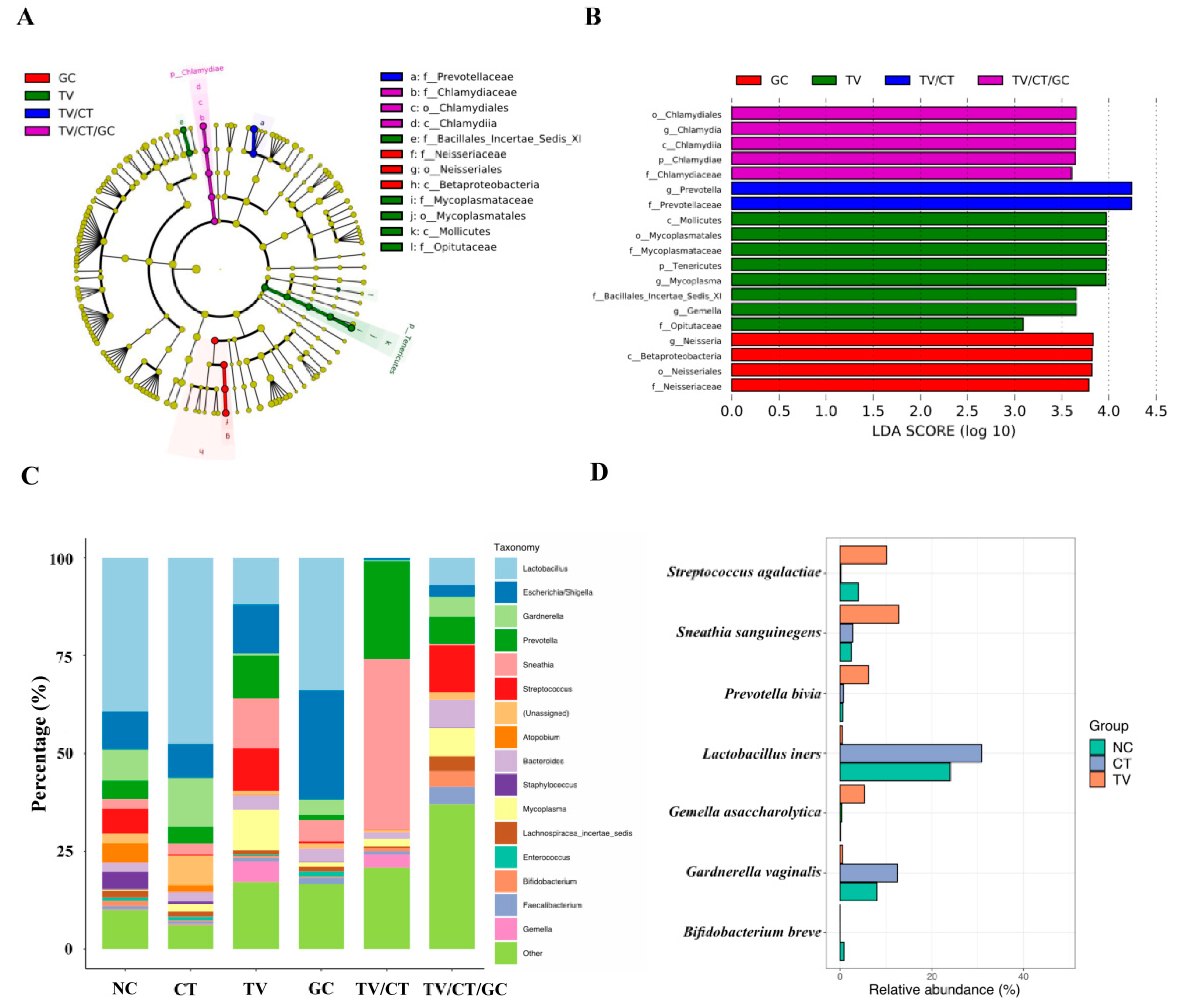 Microorganisms 09 01864 g003