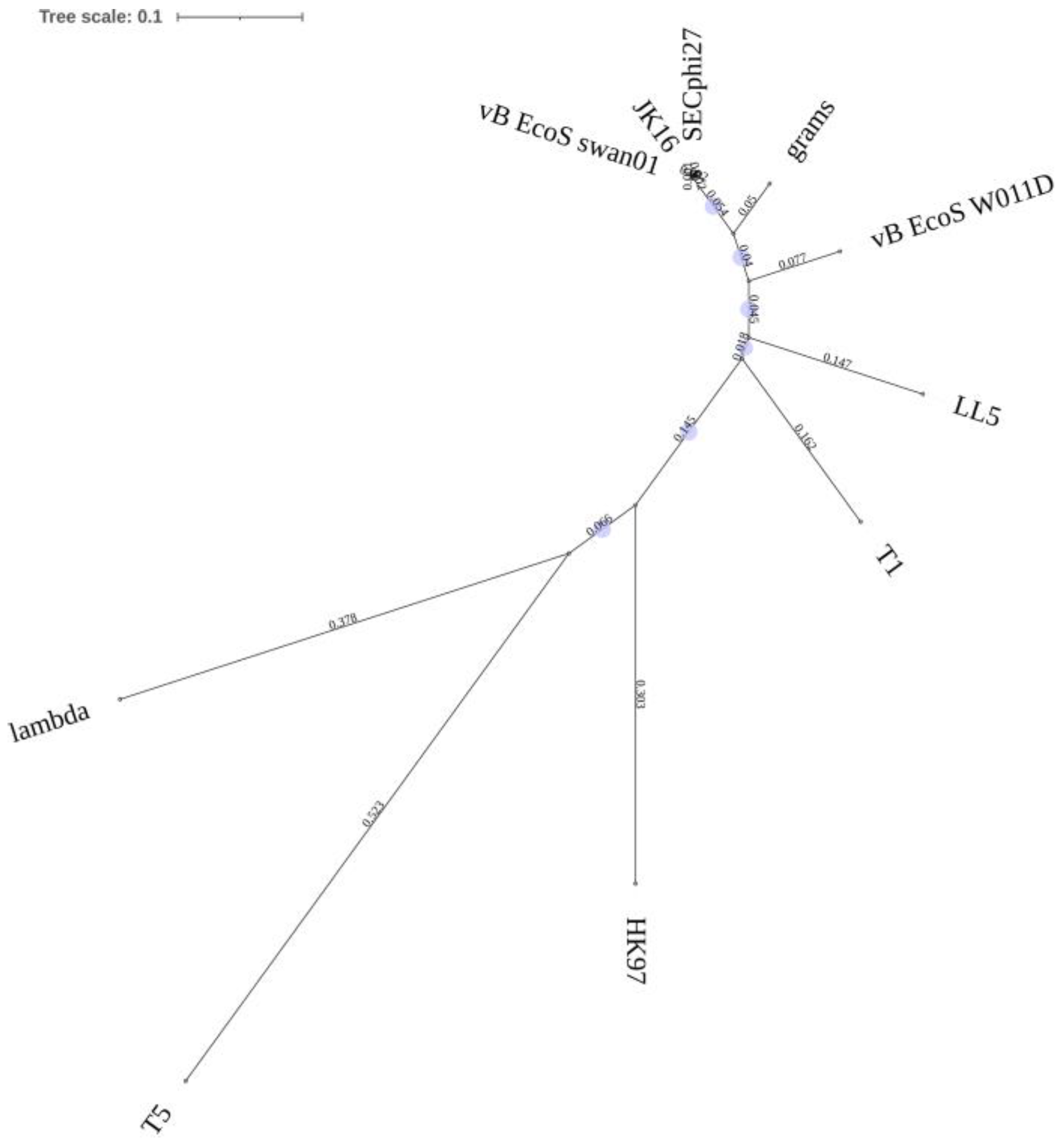 Microorganisms 09 01869 g002