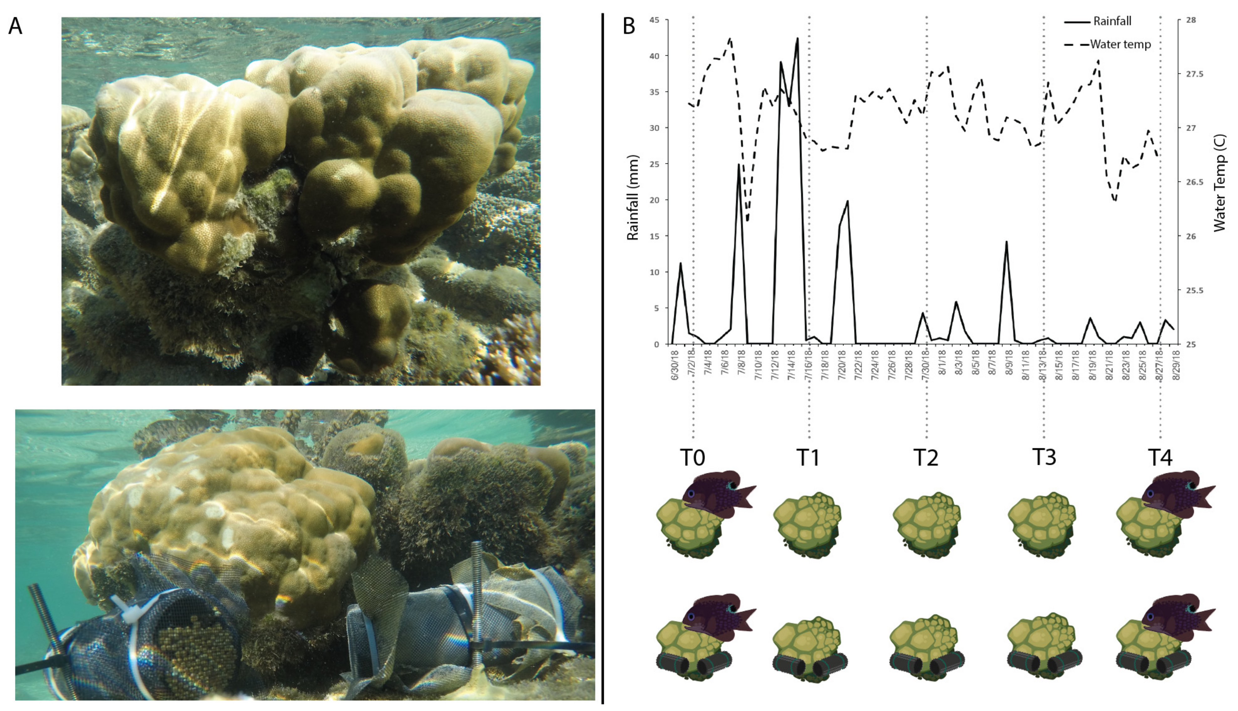 geo 5 ucla coral reefs geo 5 ucla coral reefs