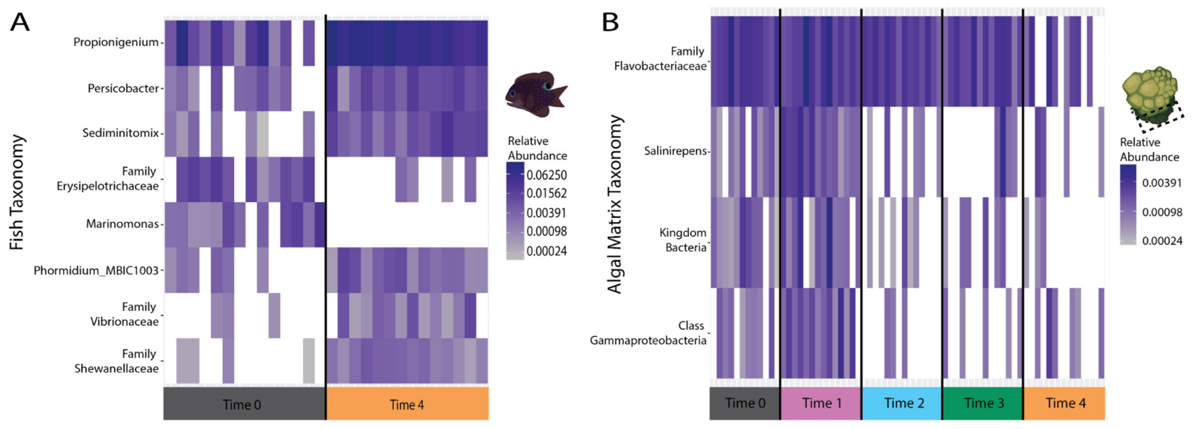 Microorganisms 09 01873 g005 Microorganisms 09 01873 g005