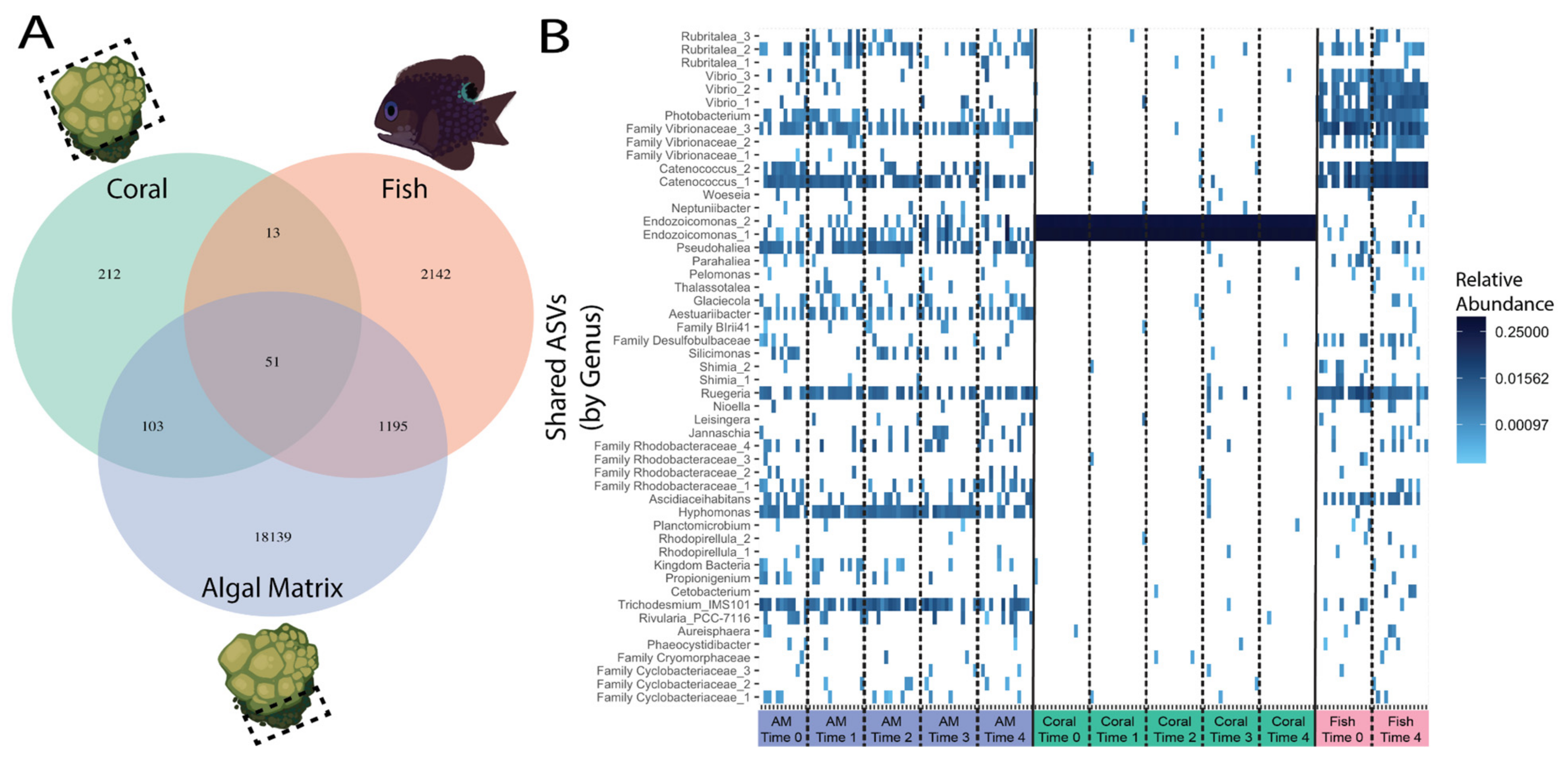 Microorganisms 09 01873 g006 Microorganisms 09 01873 g006