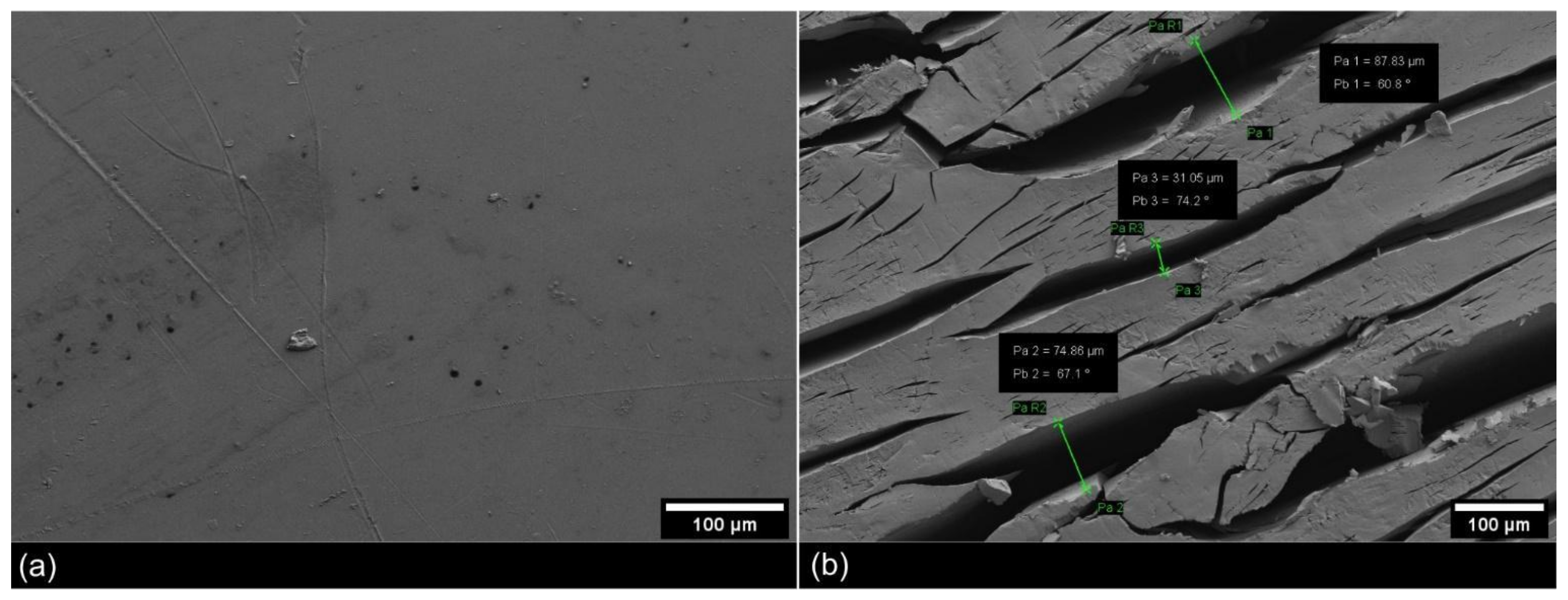 Microorganisms 09 01876 g006 550