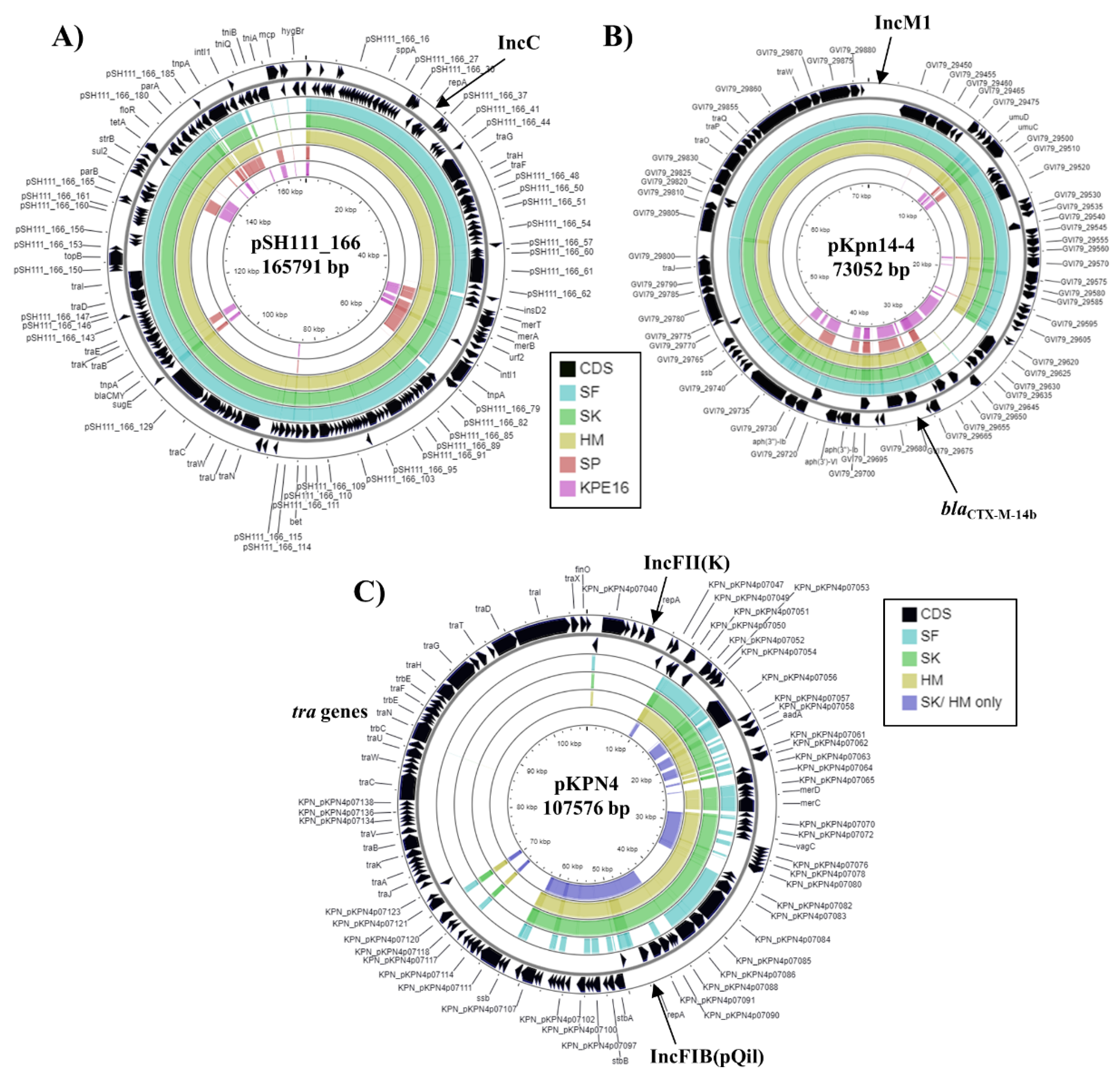 Microorganisms 09 01880 g003