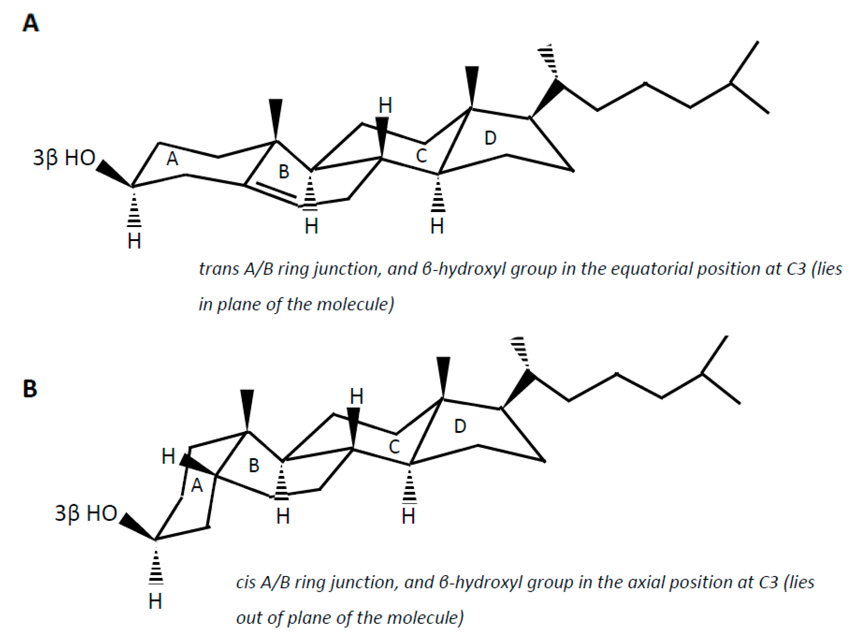 Microorganisms 09 01881 g002
