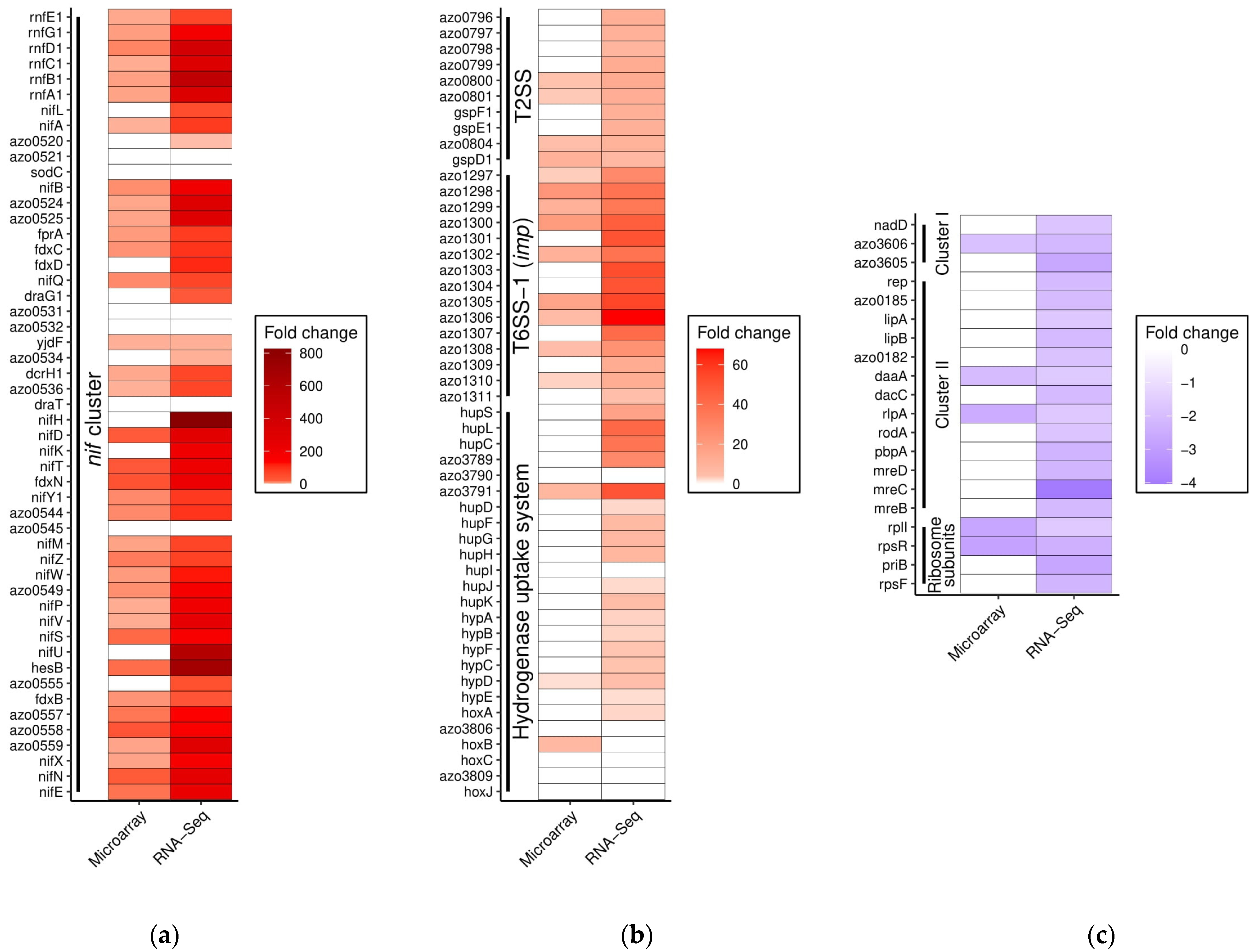 Microorganisms 09 01888 g003 Microorganisms 09 01888 g003
