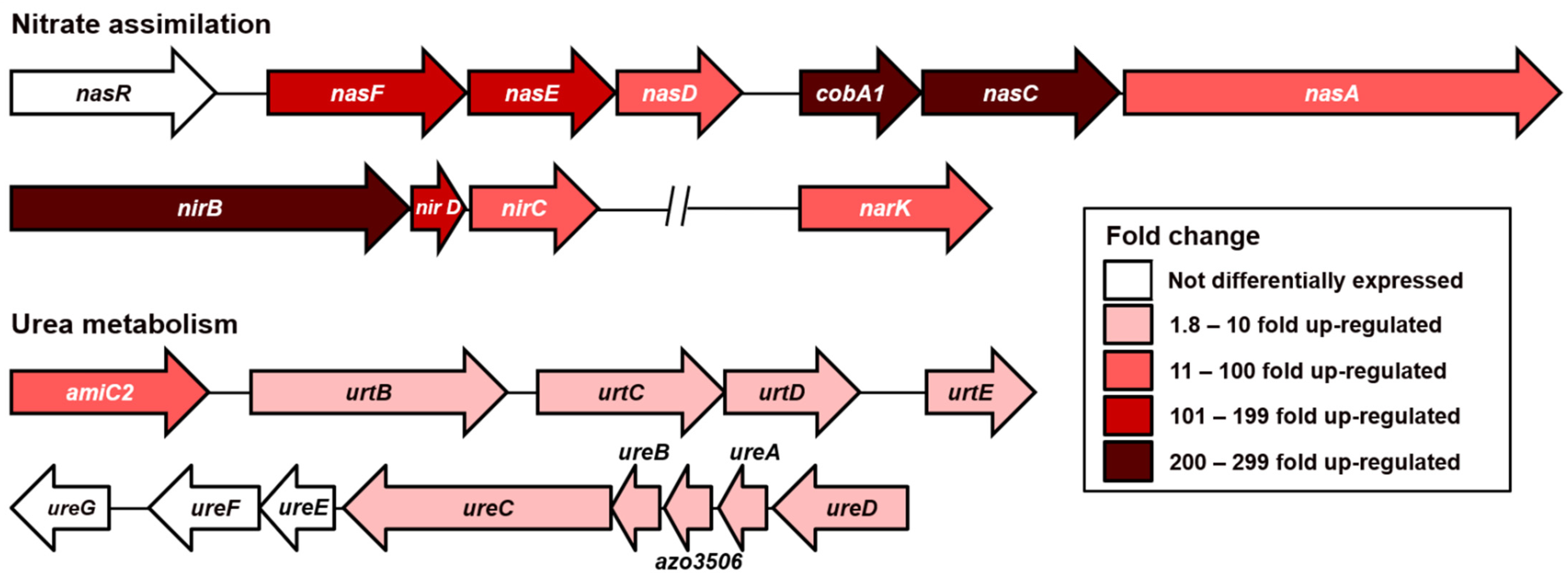 Microorganisms 09 01888 g004 Microorganisms 09 01888 g004