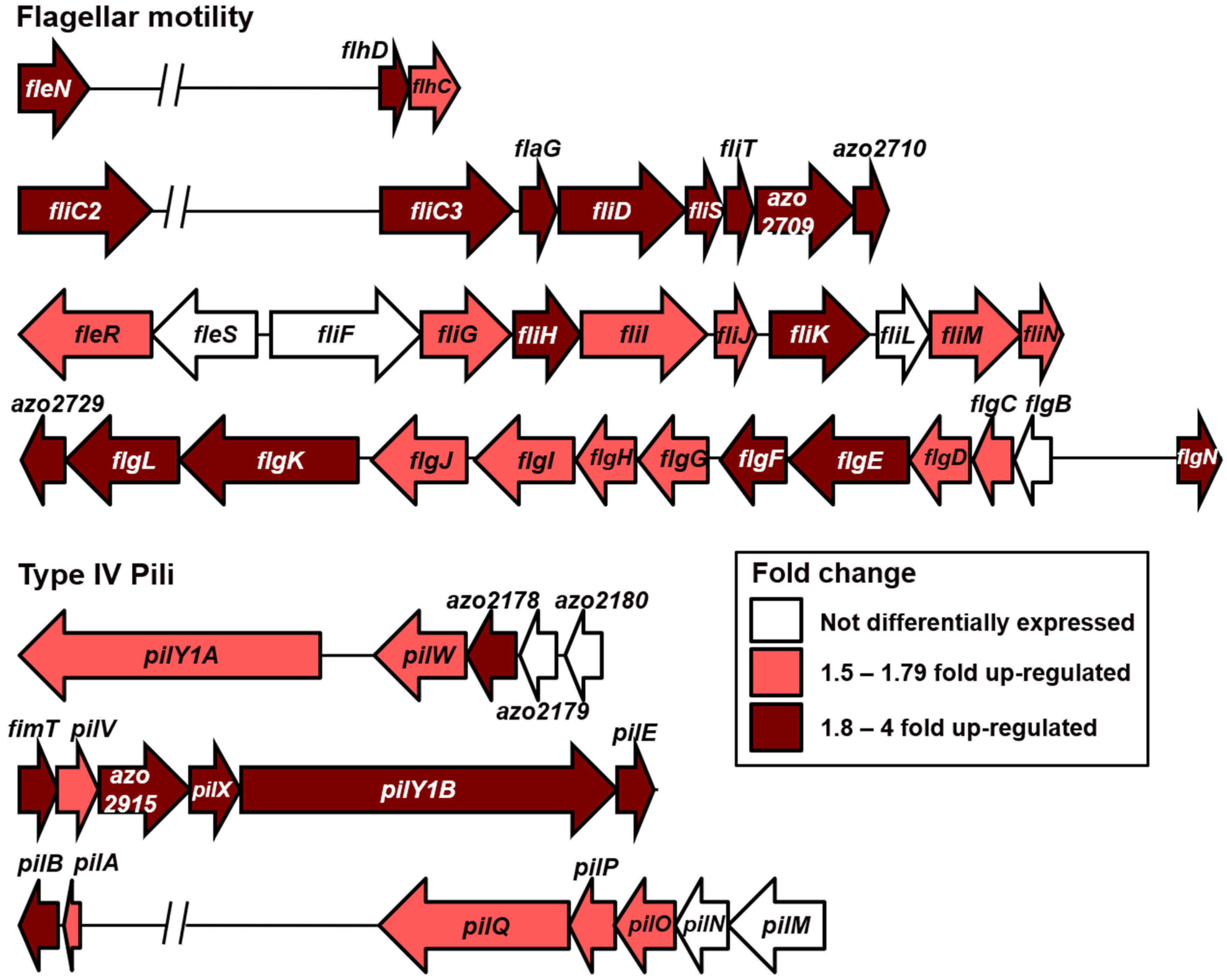 Microorganisms 09 01888 g005 Microorganisms 09 01888 g005