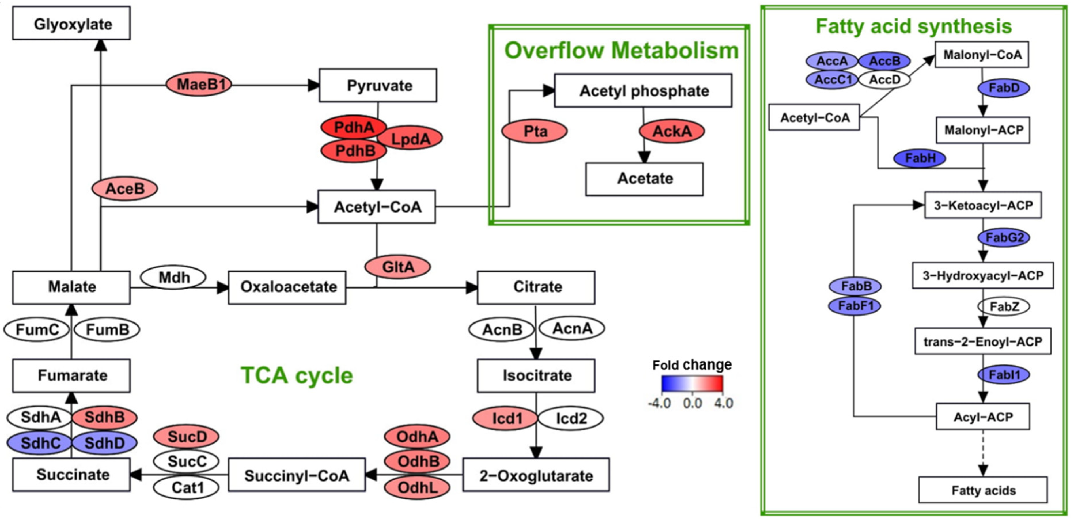 Microorganisms 09 01888 g006 Microorganisms 09 01888 g006